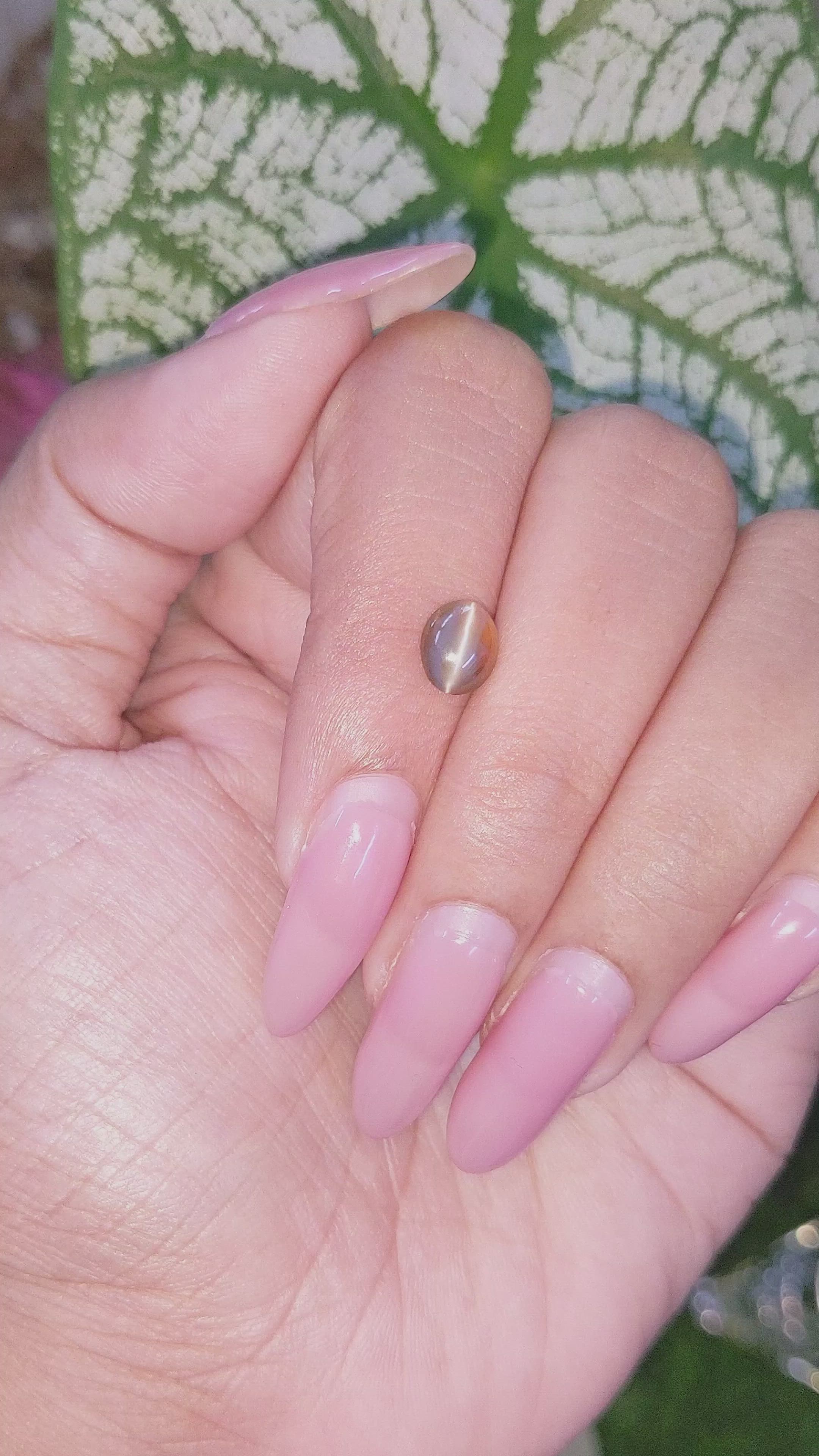 1.20 Ct. Cabochon Chrysoberyl from Madagascar Size Video