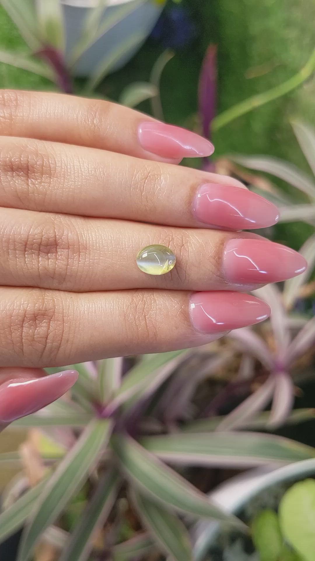 1.86 Ct. Cabochon Chrysoberyl from Ceylon (Sri Lanka) Size Video