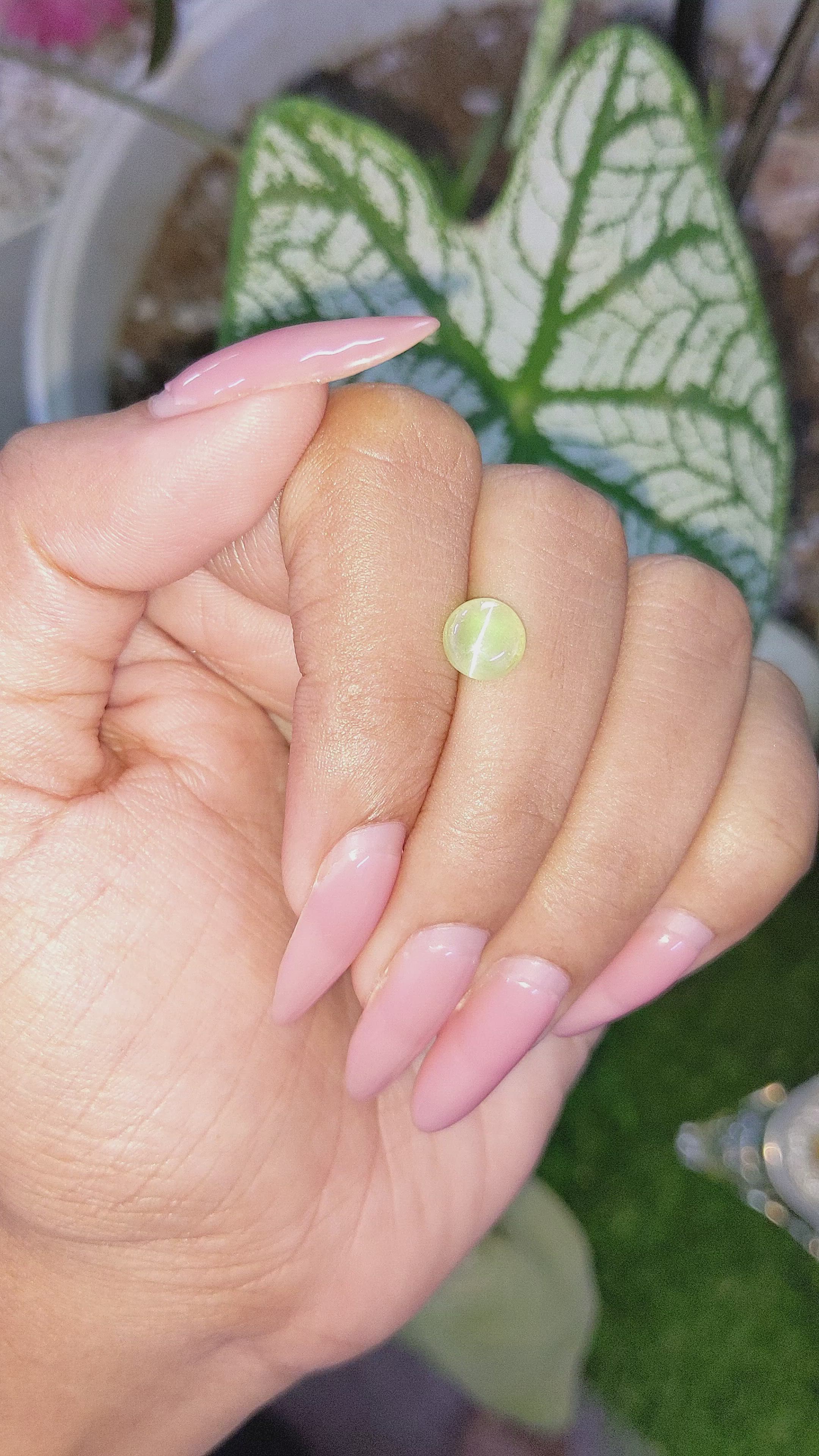 1.58 Ct. Cabochon Chrysoberyl from Madagascar Size Video