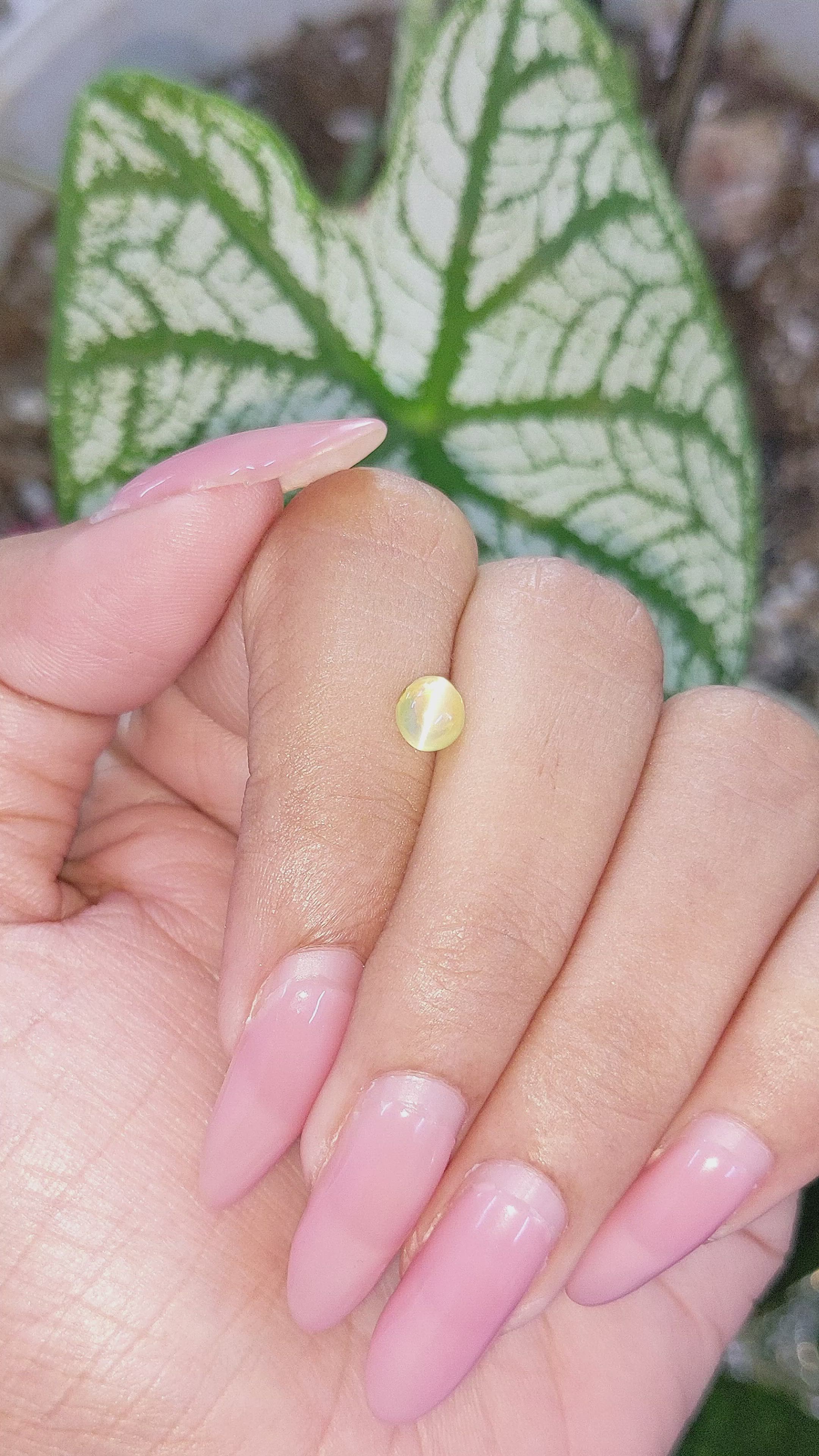 1.10 Ct. Cabochon Chrysoberyl from Madagascar Size Video