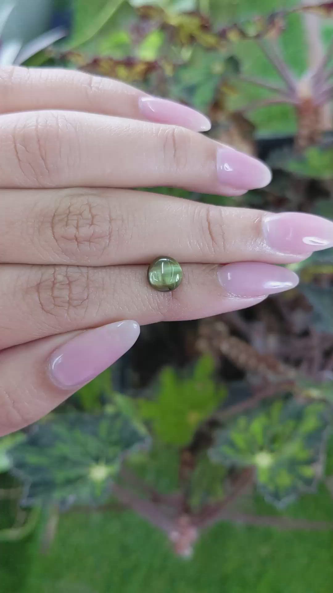 2.66 Ct. Cabochon Chrysoberyl from Ceylon (Sri Lanka) Size Video