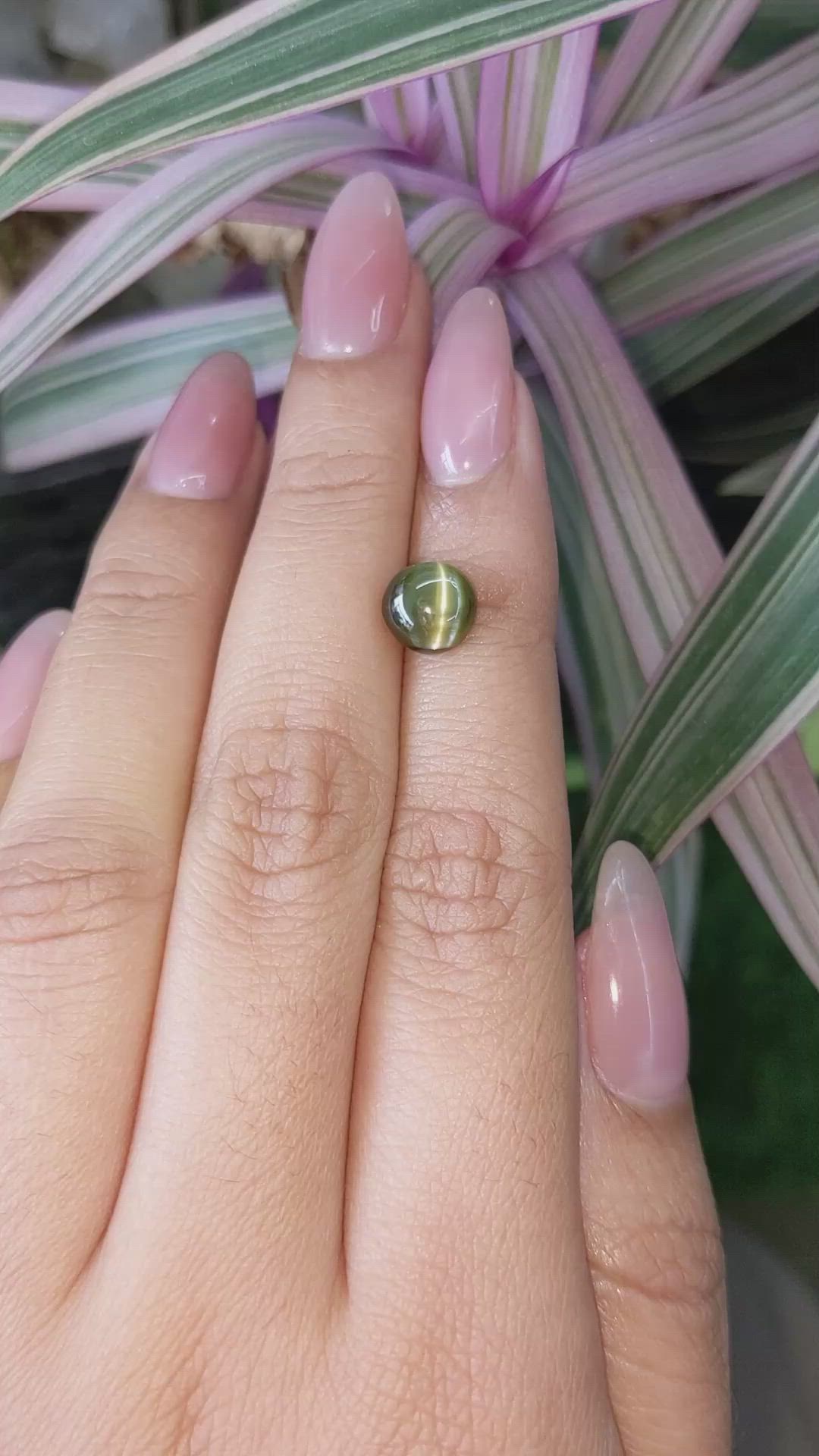 2.66 Ct. Cabochon Chrysoberyl from Ceylon (Sri Lanka) Size Video