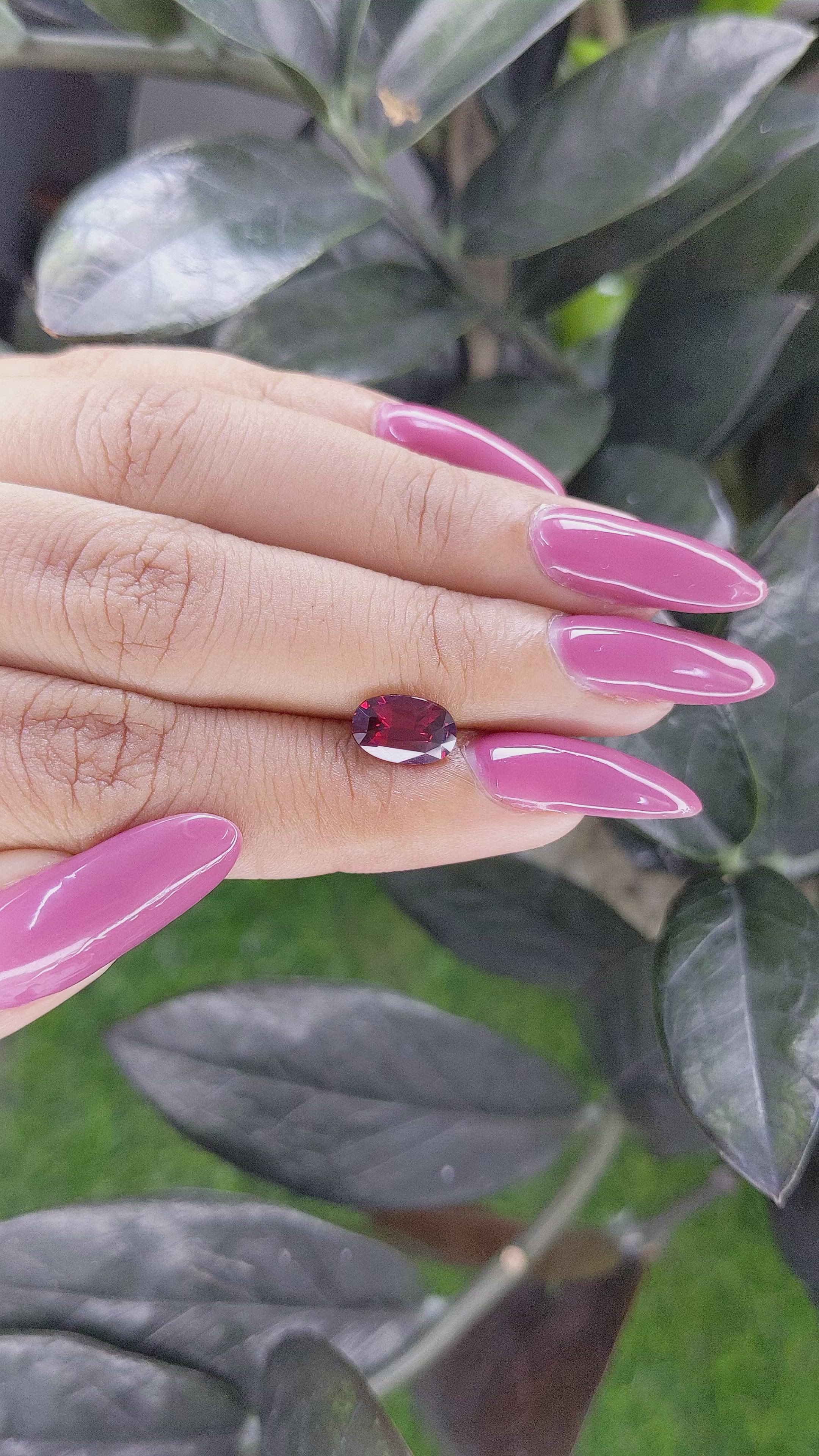 1.72 Ct. Garnet from Ceylon (Sri Lanka) Size Video