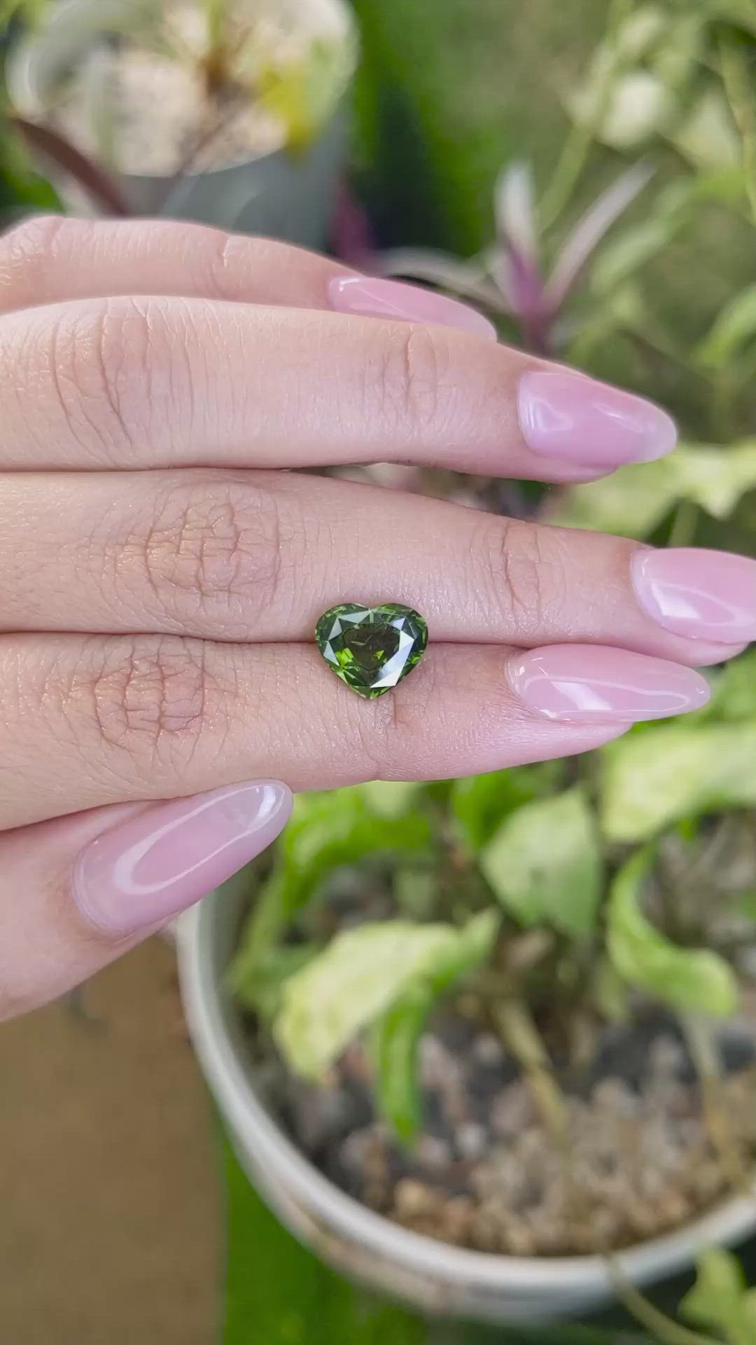 3.37 Ct. Tourmaline from Ceylon (Sri Lanka) Size Video