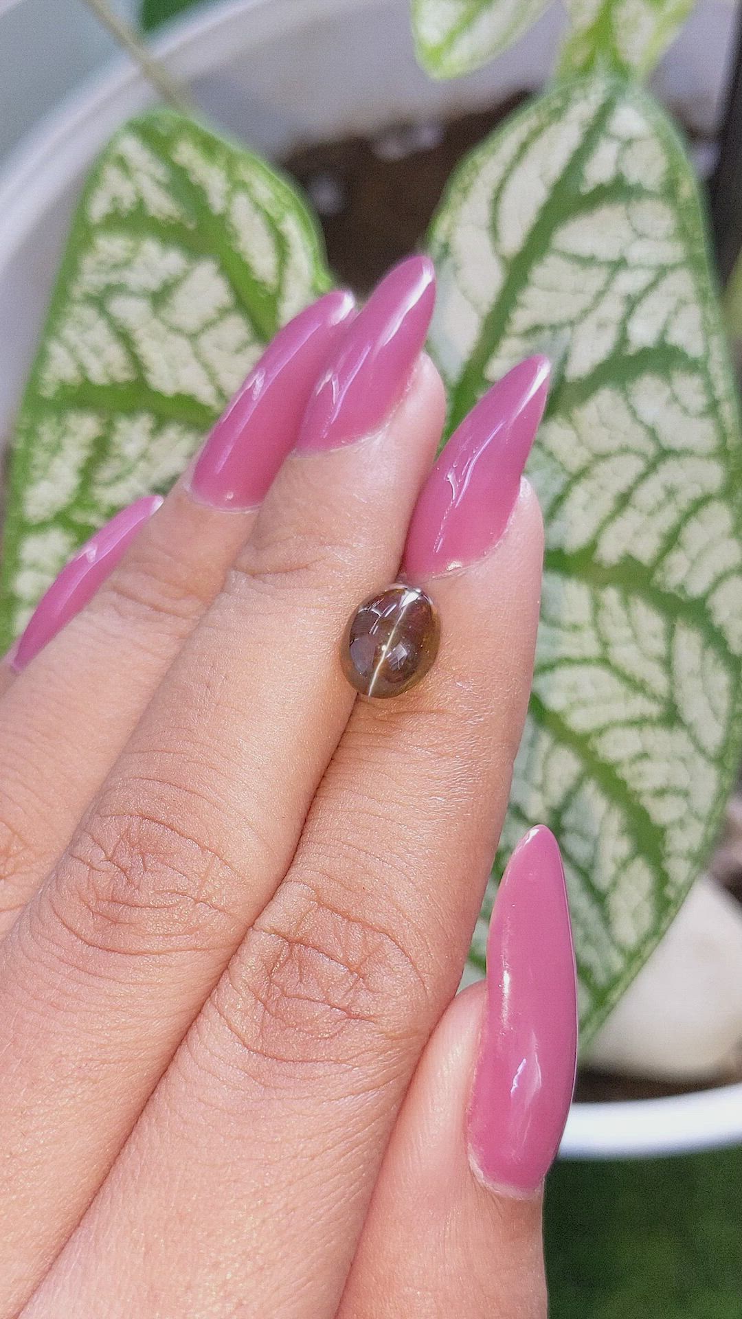 3.50 Ct. Cabochon Chrysoberyl from Tanzania Size Video