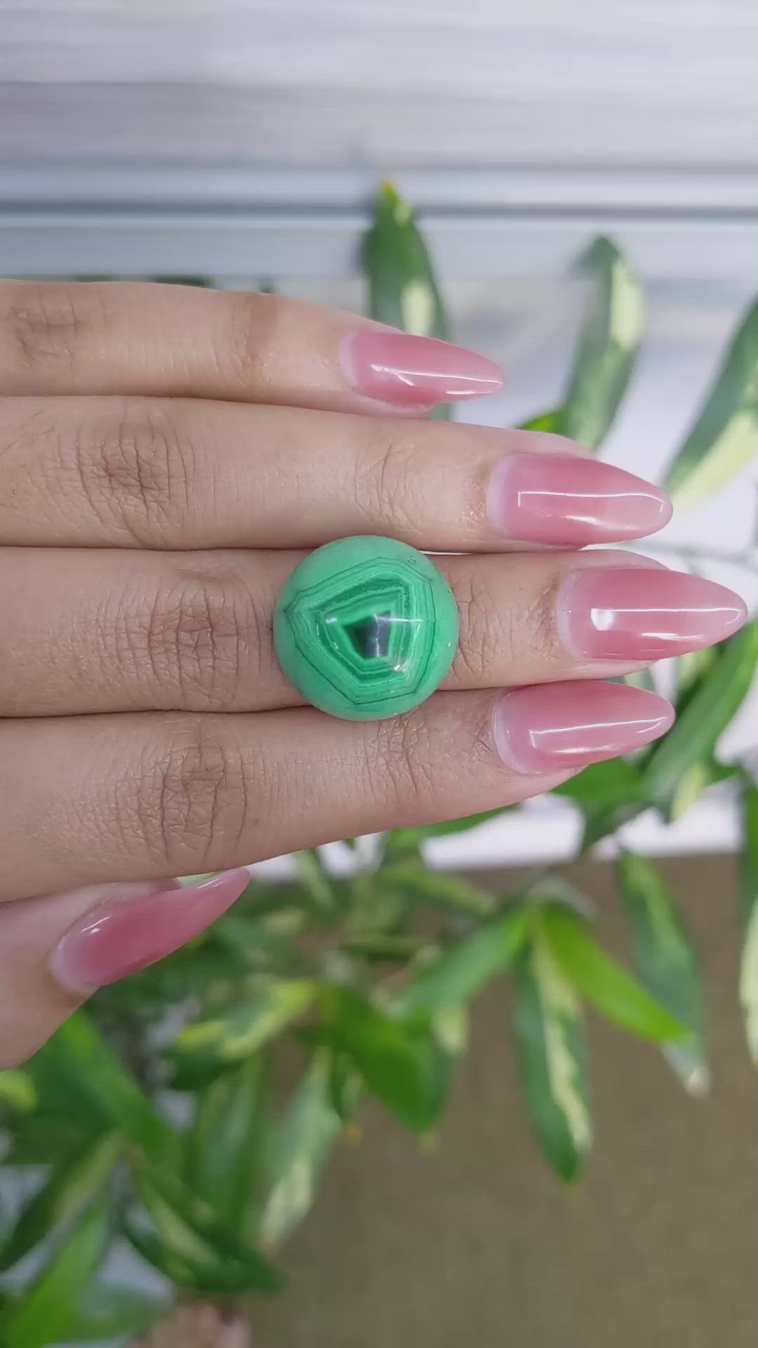 28.70 Ct. Cabochon Malachite from Russia Size Video