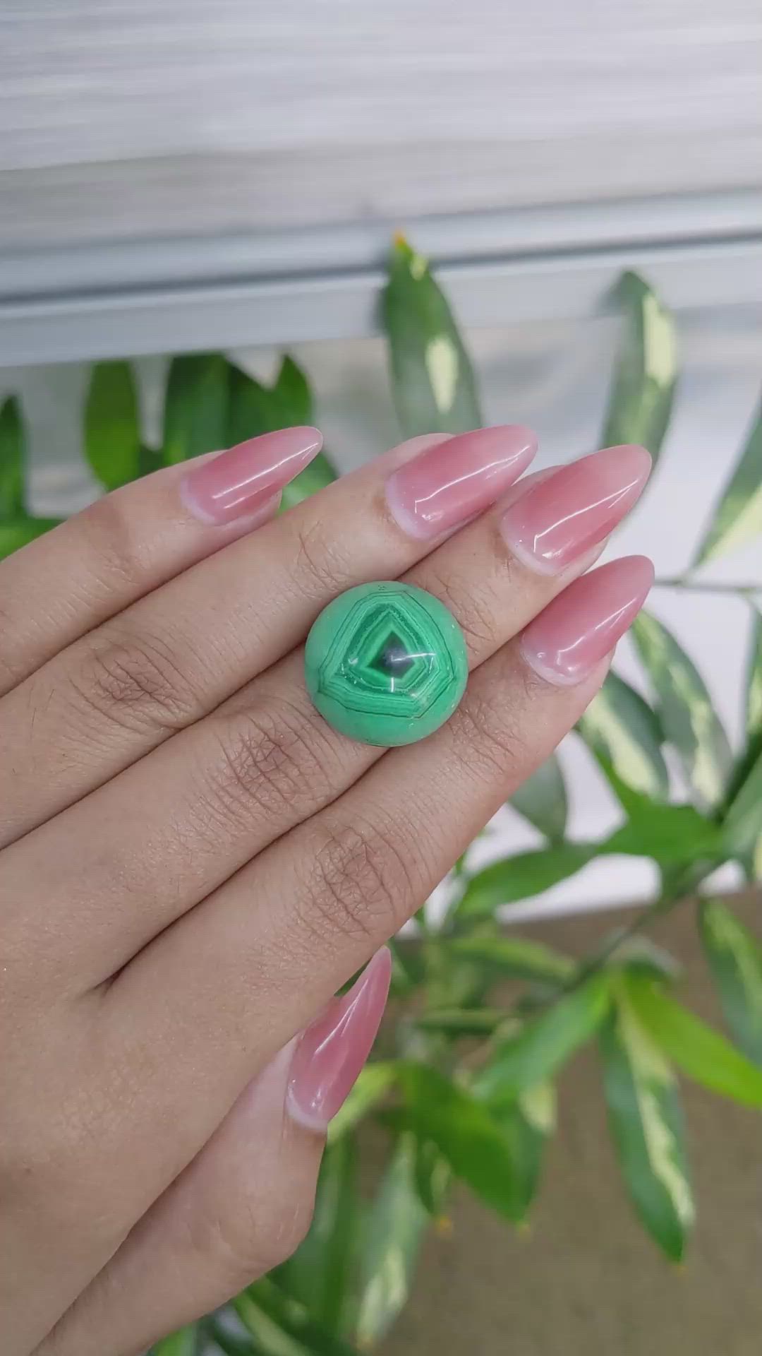 28.70 Ct. Cabochon Malachite from Russia Size Video