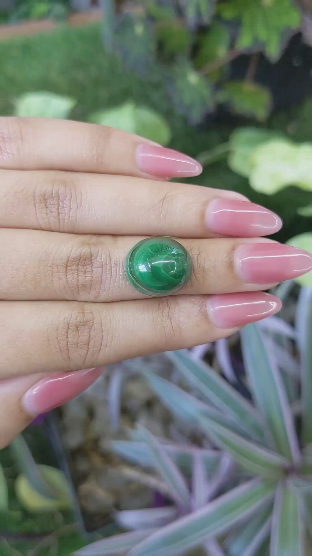 24.81 Ct. Cabochon Malachite from Russia Size Video