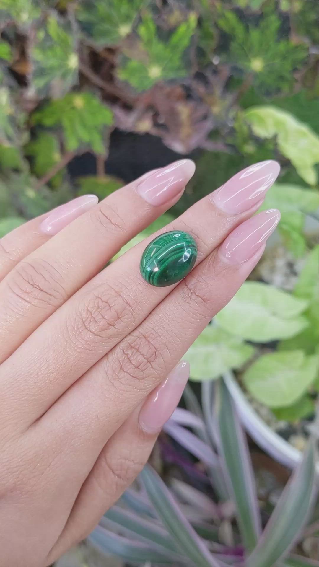 11.12 Ct. Cabochon Malachite from Russia Size Video