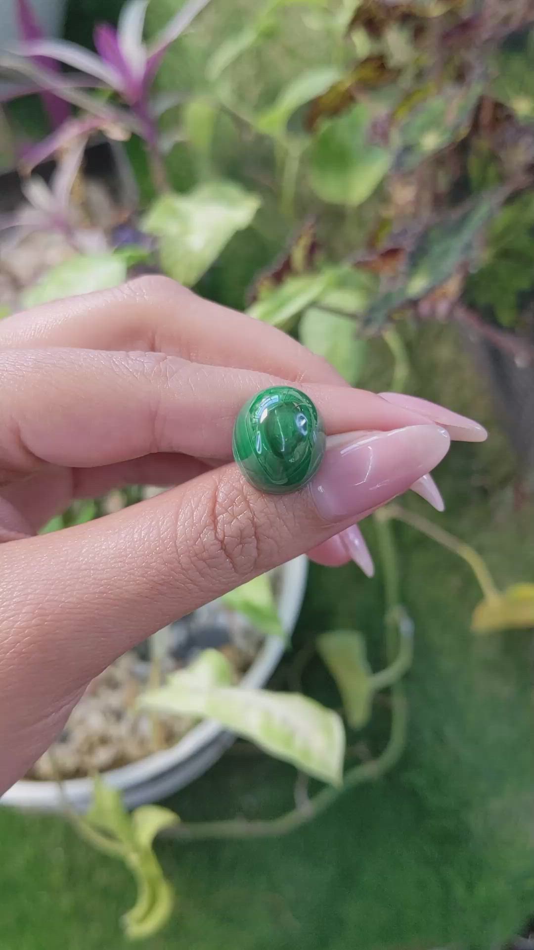 26.16 Ct. Cabochon Malachite from Russia Size Video