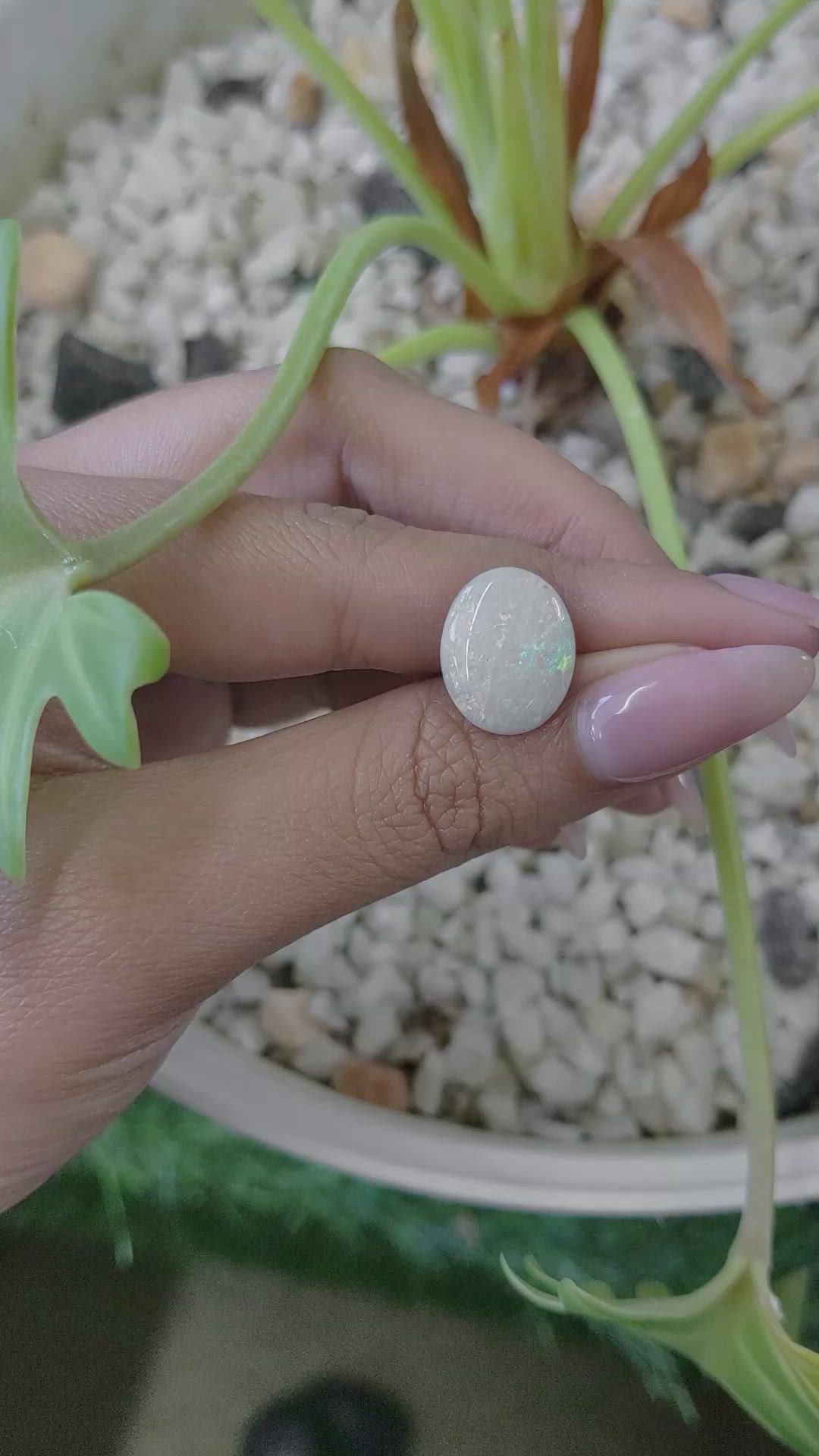 3.44 Ct. Cabochon White Opal from United States Size Video