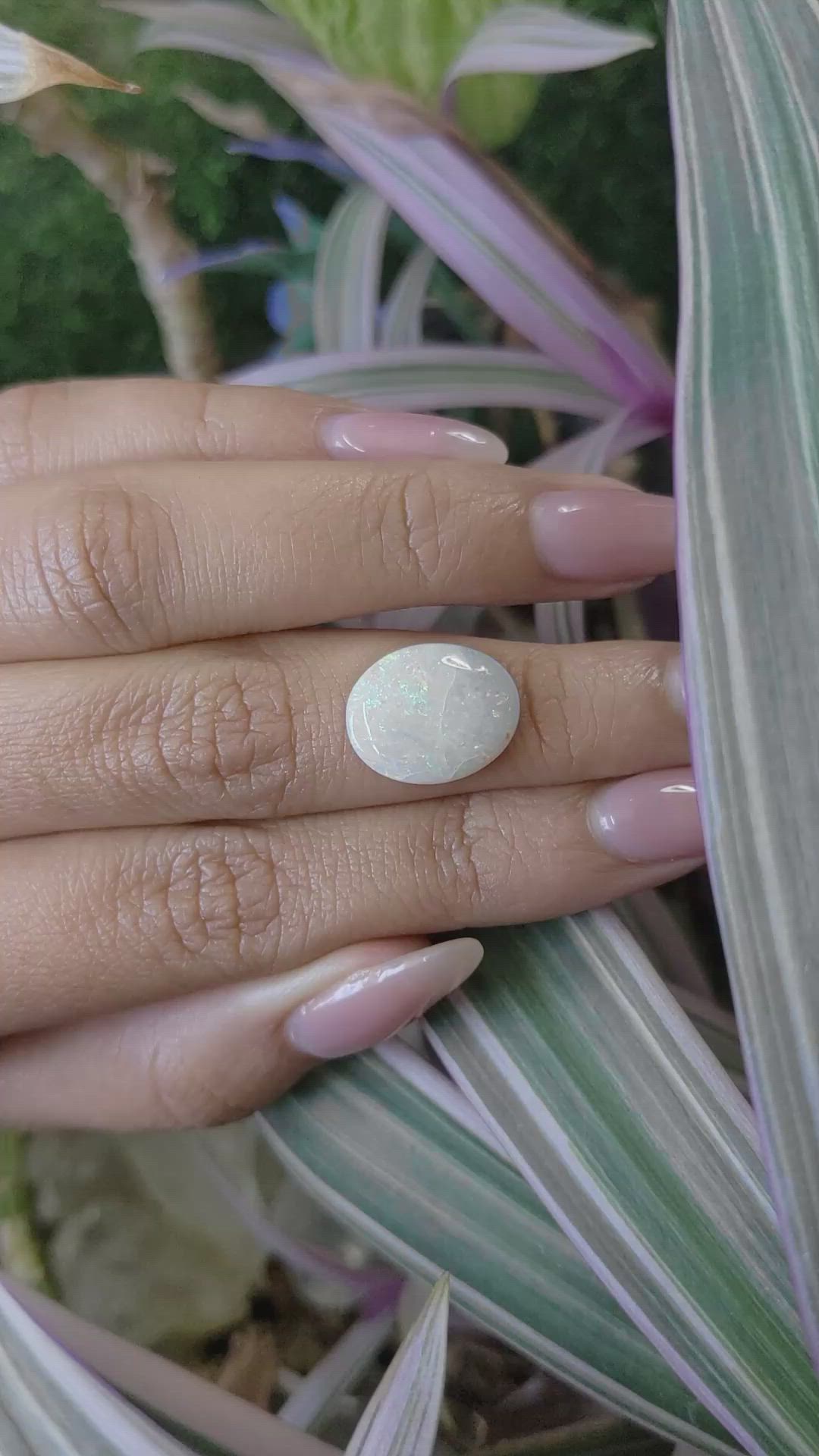 3.44 Ct. Cabochon White Opal from United States Size Video