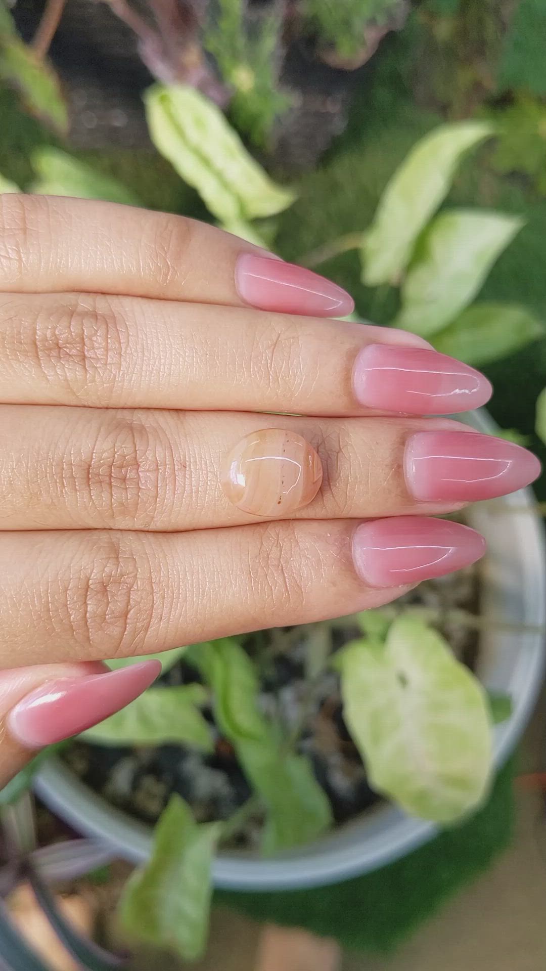 6.26 Ct. Cabochon White Opal from India Size Video