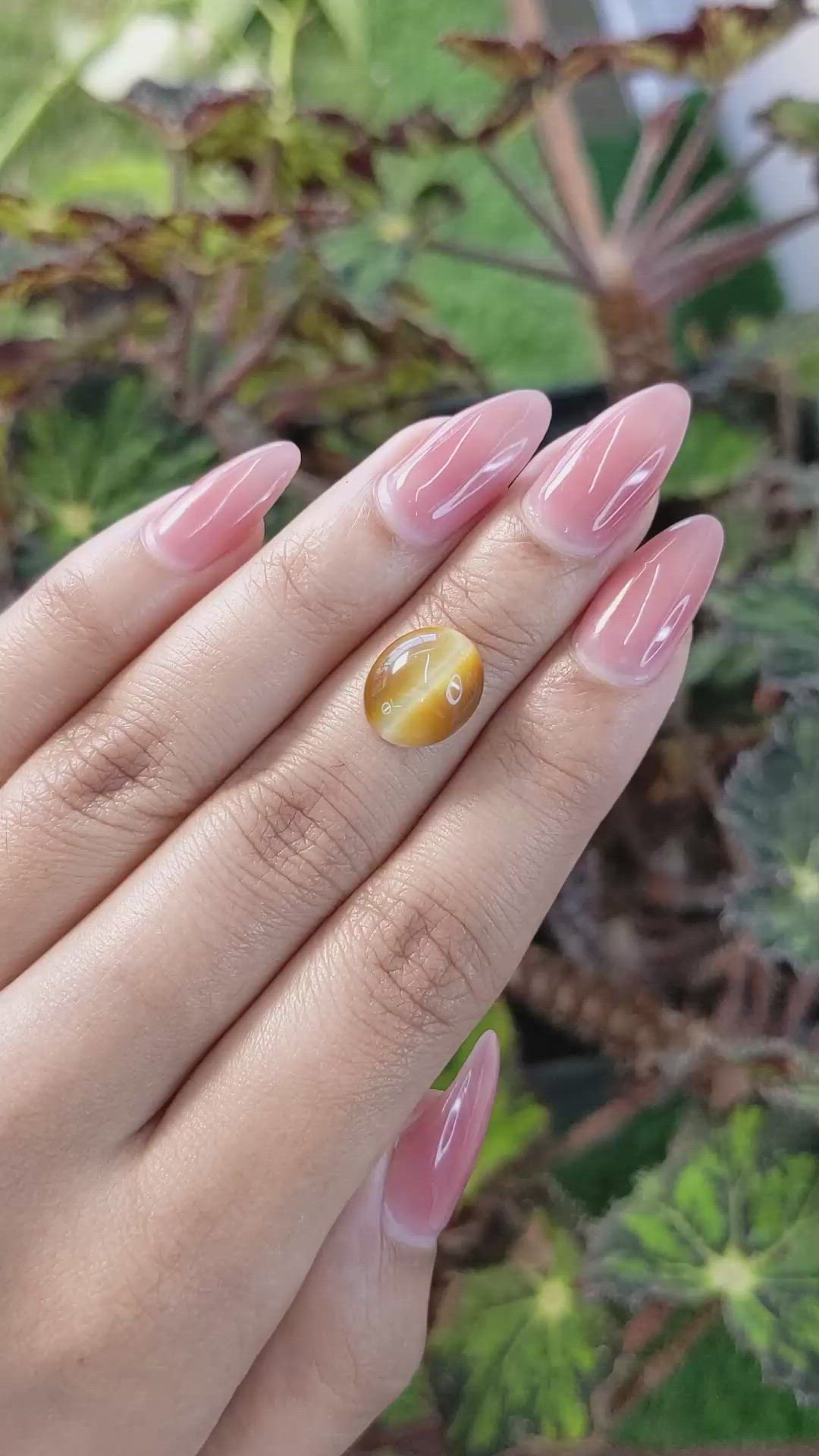 3.95 Ct. Cabochon Tiger's Eye from Brazil Size Video