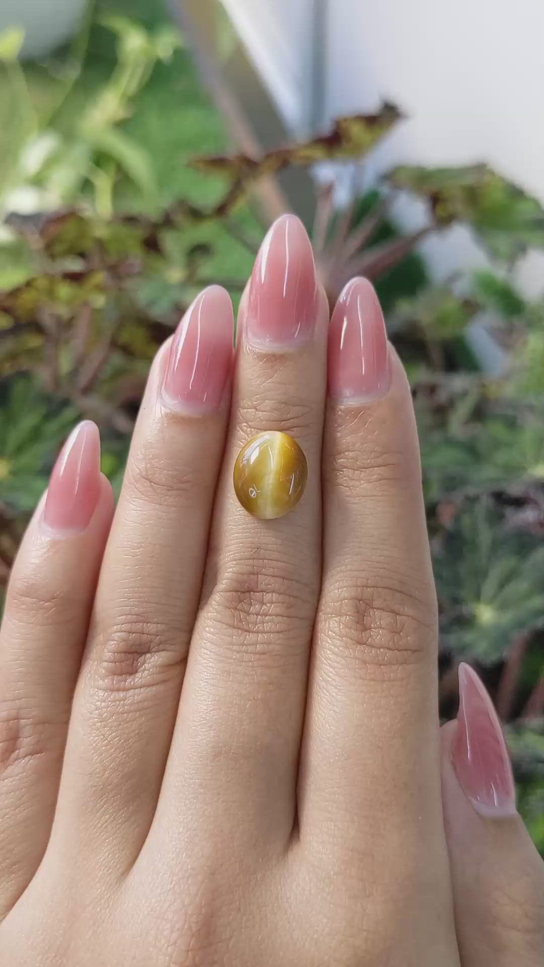 3.95 Ct. Cabochon Tiger's Eye from Brazil Size Video