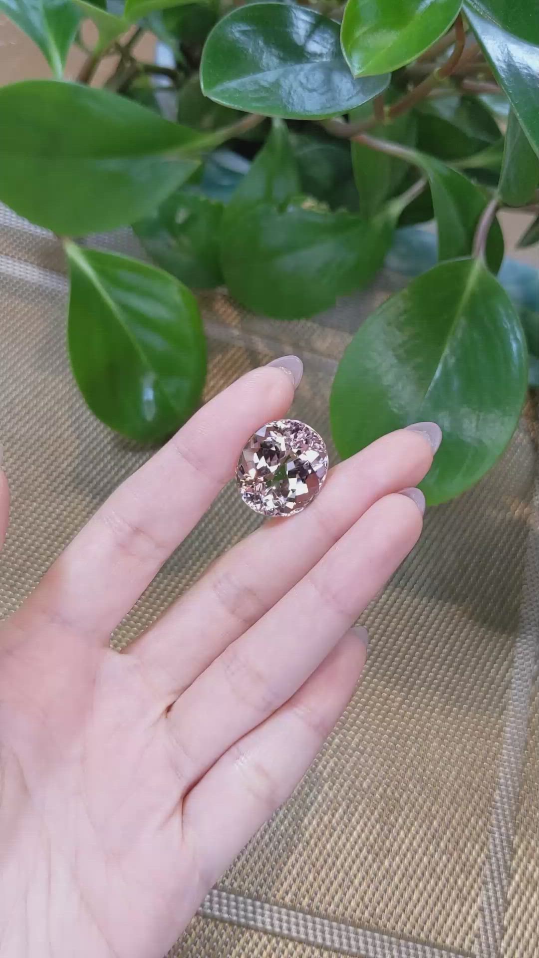27.27 Ct. Morganite from Brazil Size Video