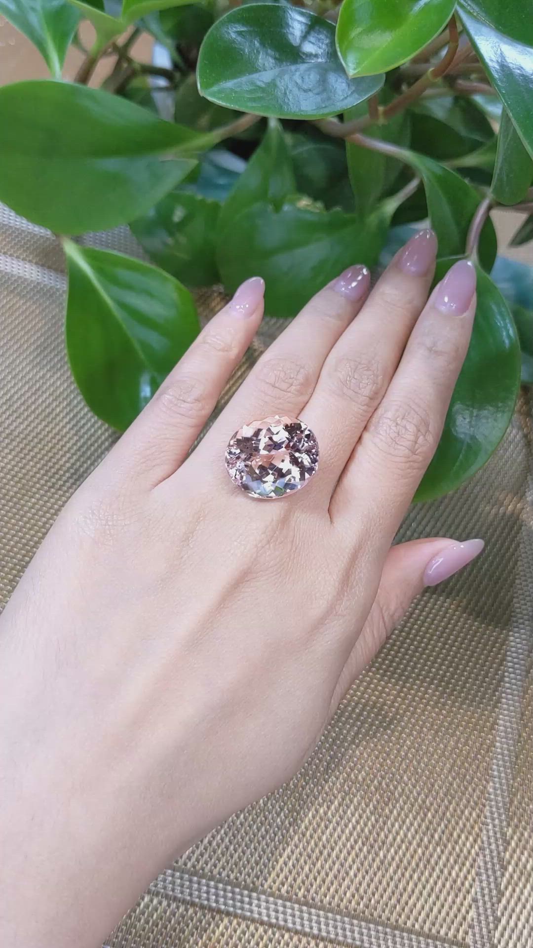 27.27 Ct. Morganite from Brazil Size Video