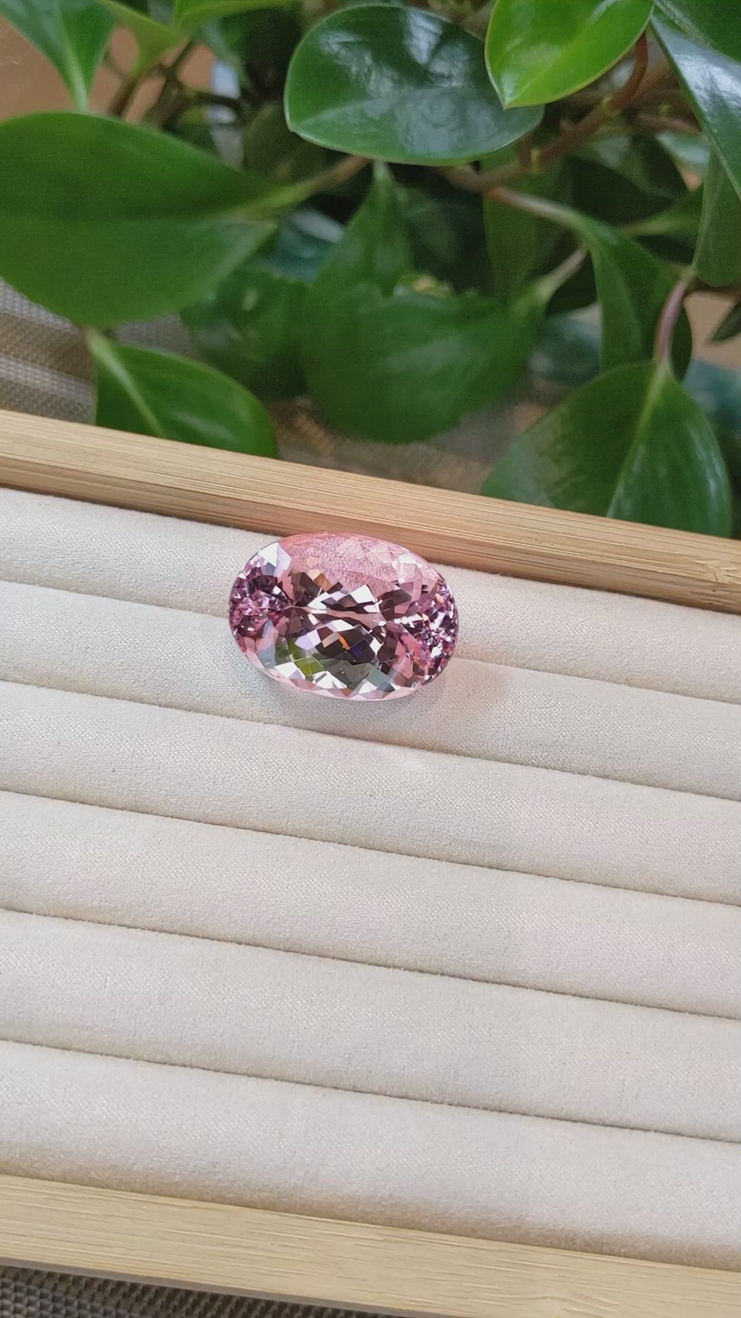 68.55 Ct. Morganite from Brazil Size Video
