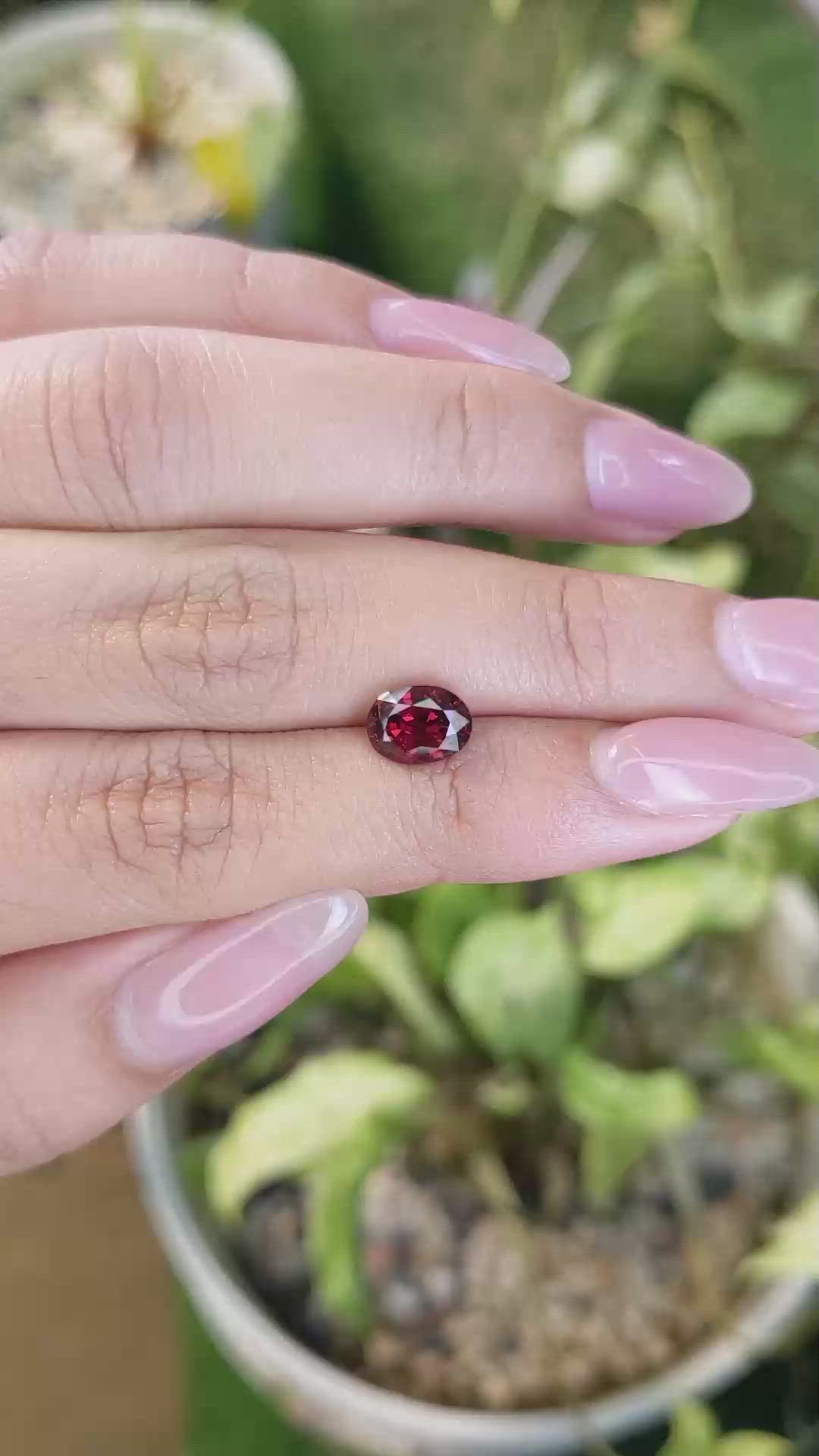 2.22 Ct. Garnet from Ceylon (Sri Lanka) Size Video
