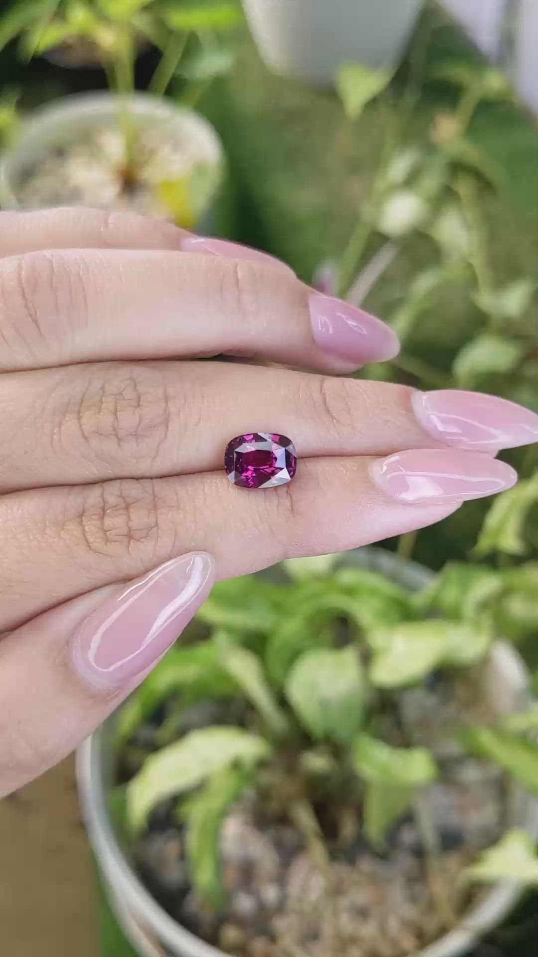 2.92 Ct. Rhodolite Garnet from Ceylon (Sri Lanka) Size Video