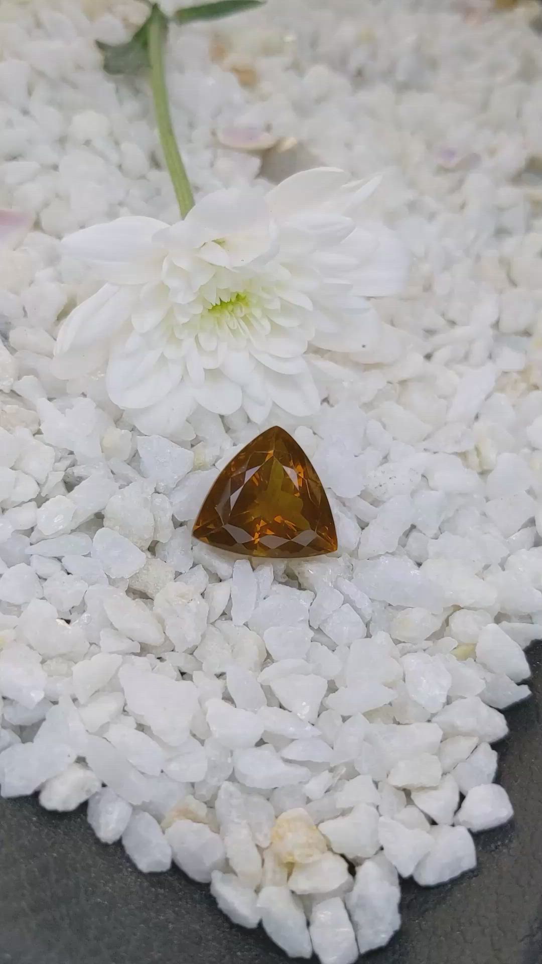 19.88 Ct. Citrine from Brazil Size Video