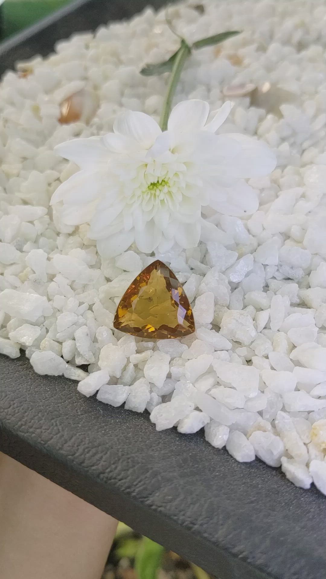 18.27 Ct. Citrine from Brazil Size Video