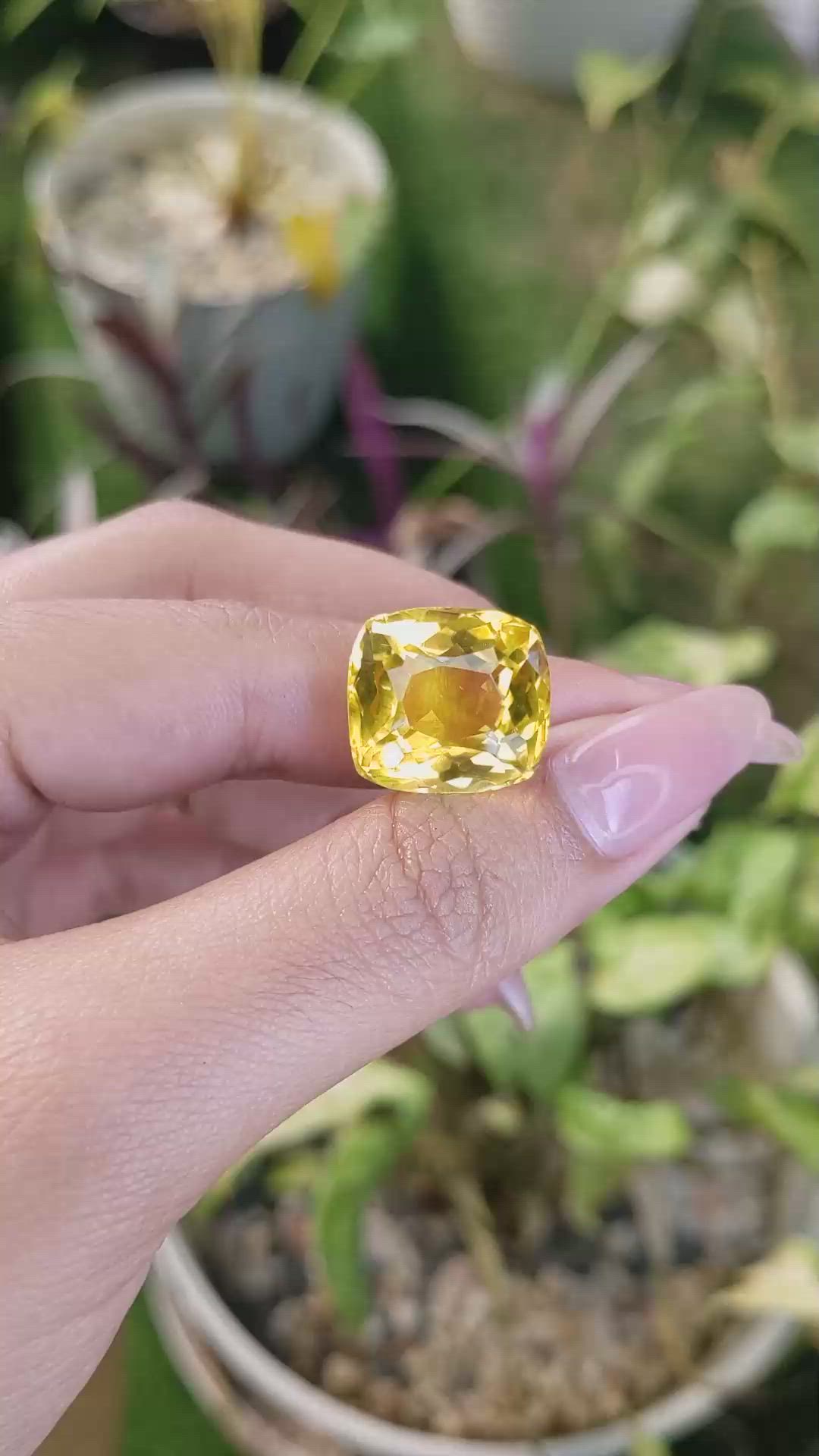 17.32 Ct. Citrine from Brazil Size Video