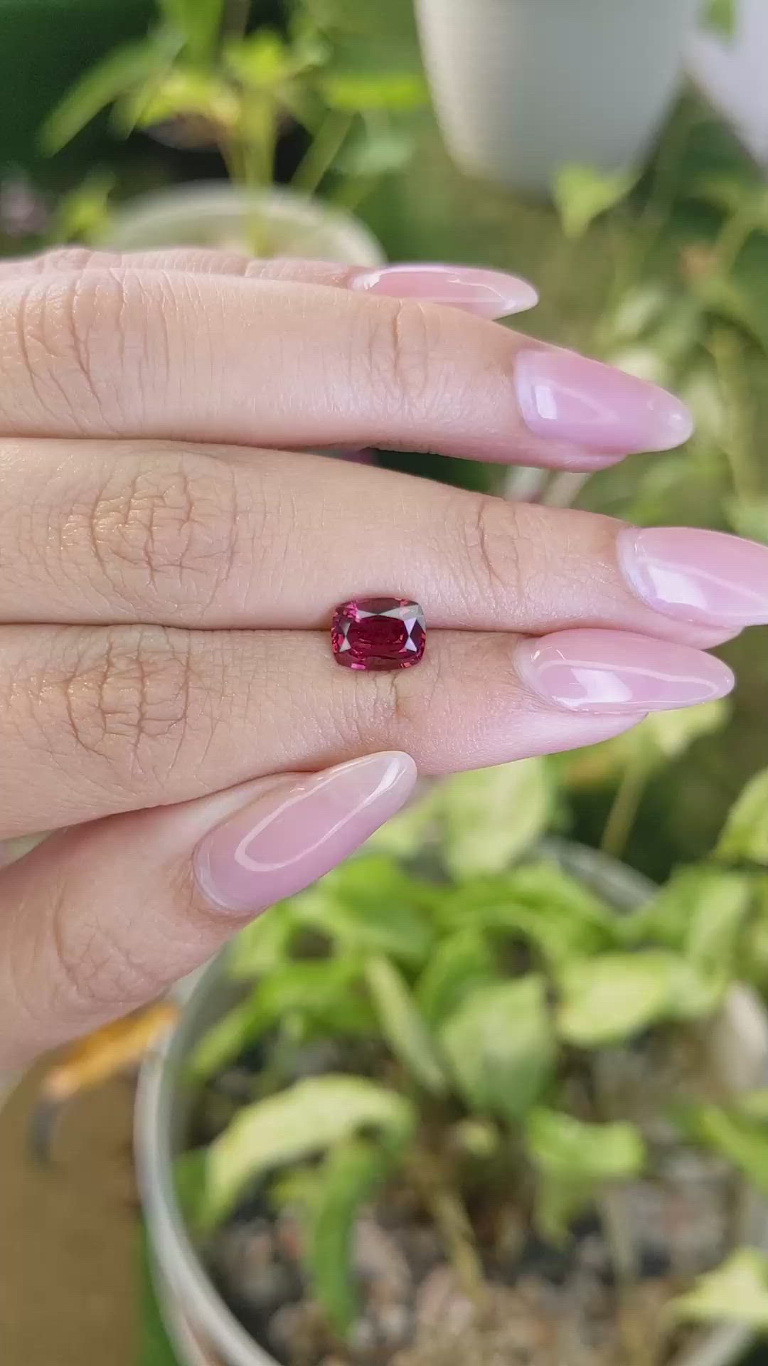 1.66 Ct. Rhodolite Garnet from Ceylon (Sri Lanka) Size Video