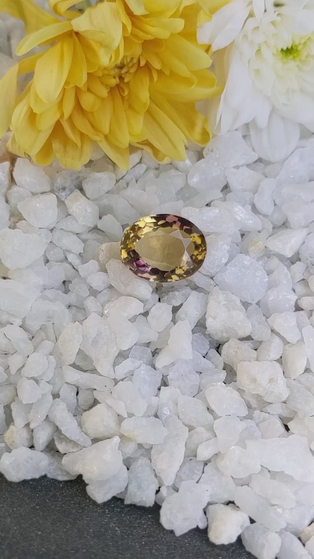 8.63 Ct. Ametrine from Ceylon (Sri Lanka) Size Video