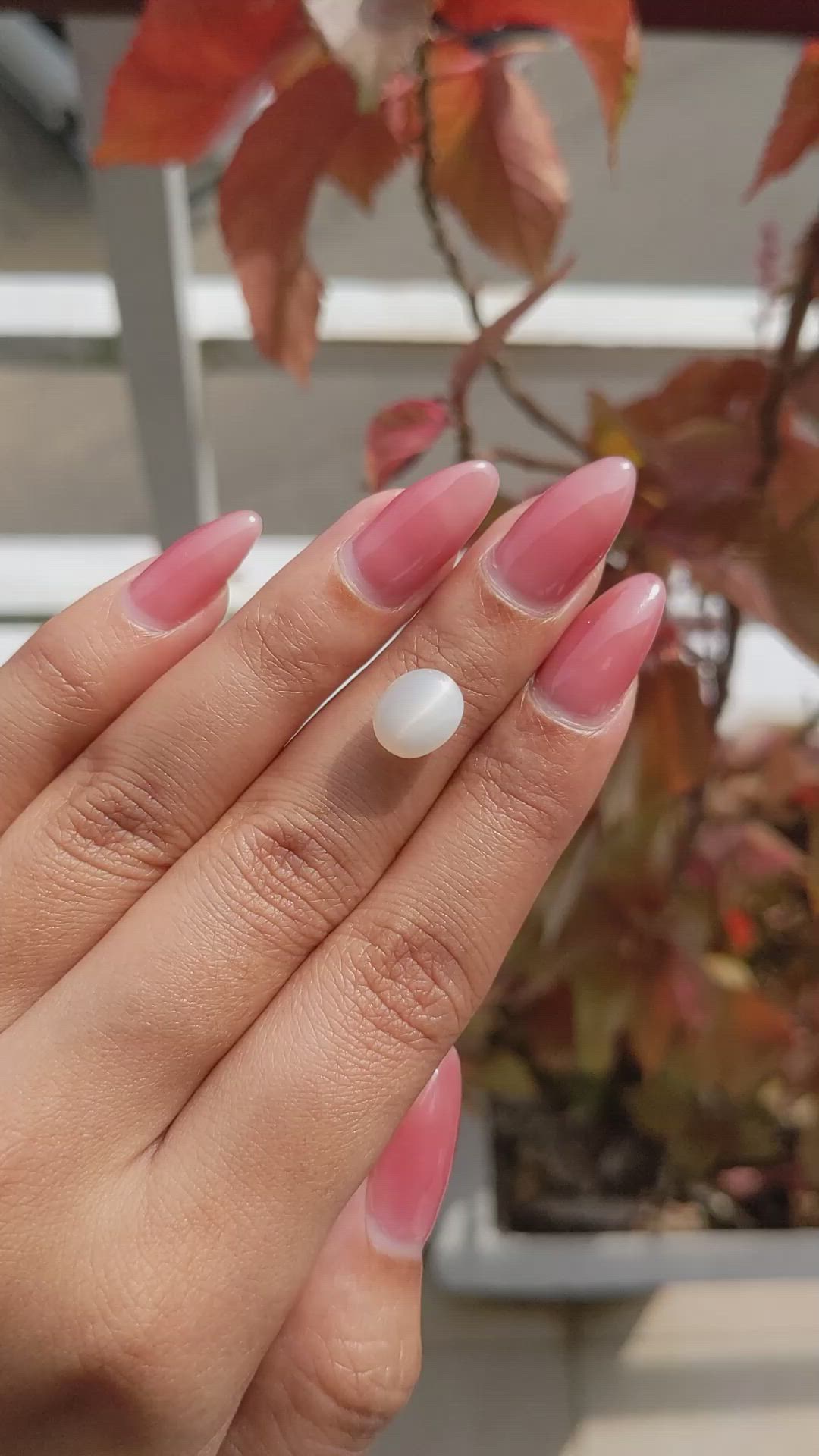 2.61 Ct. Cabochon Moonstone from Ceylon (Sri Lanka) Size Video