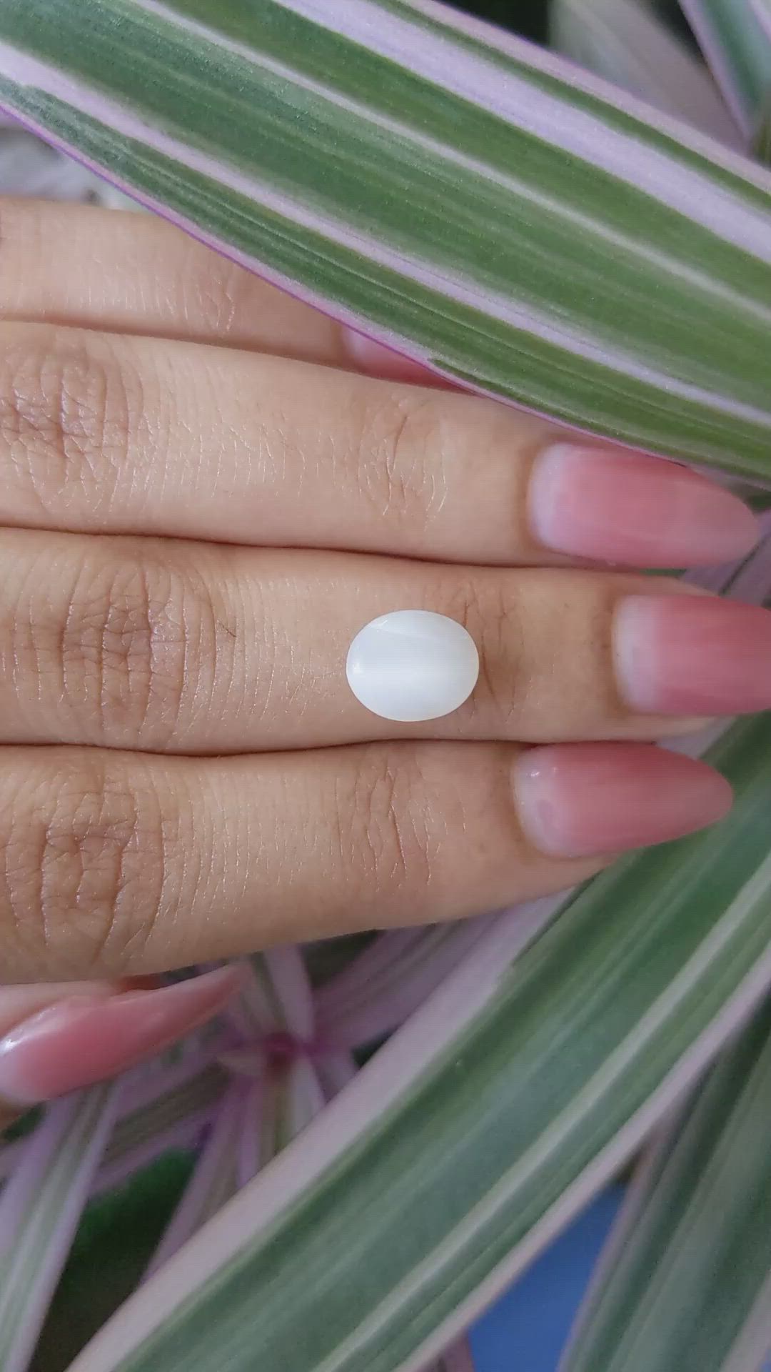 2.61 Ct. Cabochon Moonstone from Ceylon (Sri Lanka) Size Video