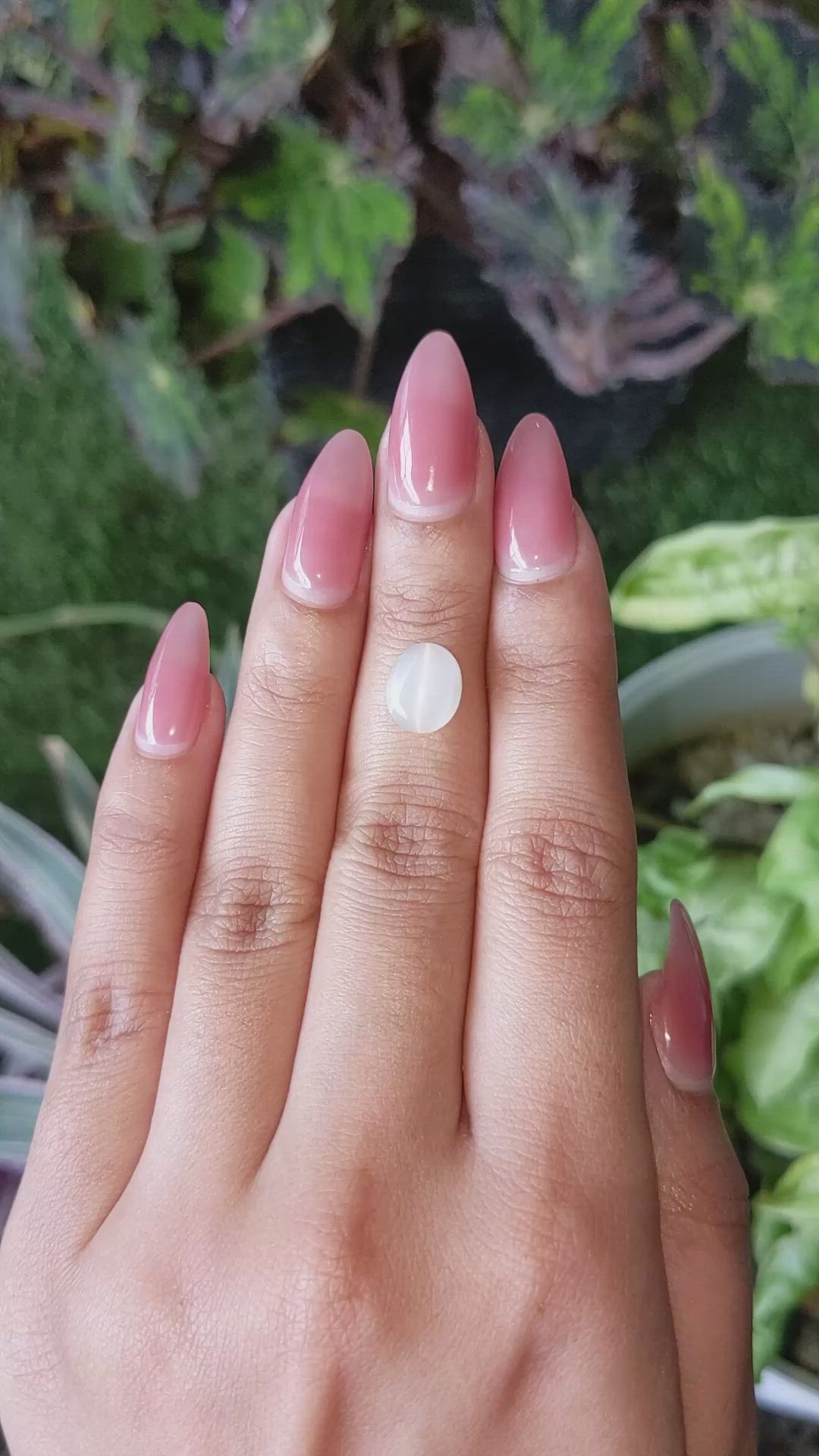 2.61 Ct. Cabochon Moonstone from Ceylon (Sri Lanka) Size Video