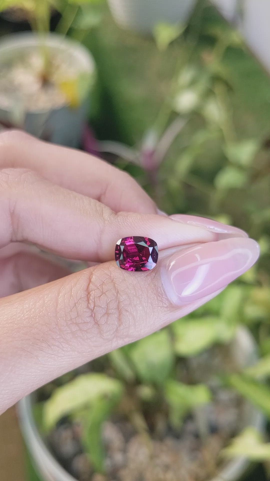 2.10 Ct. Rhodolite Garnet from Ceylon (Sri Lanka) Size Video