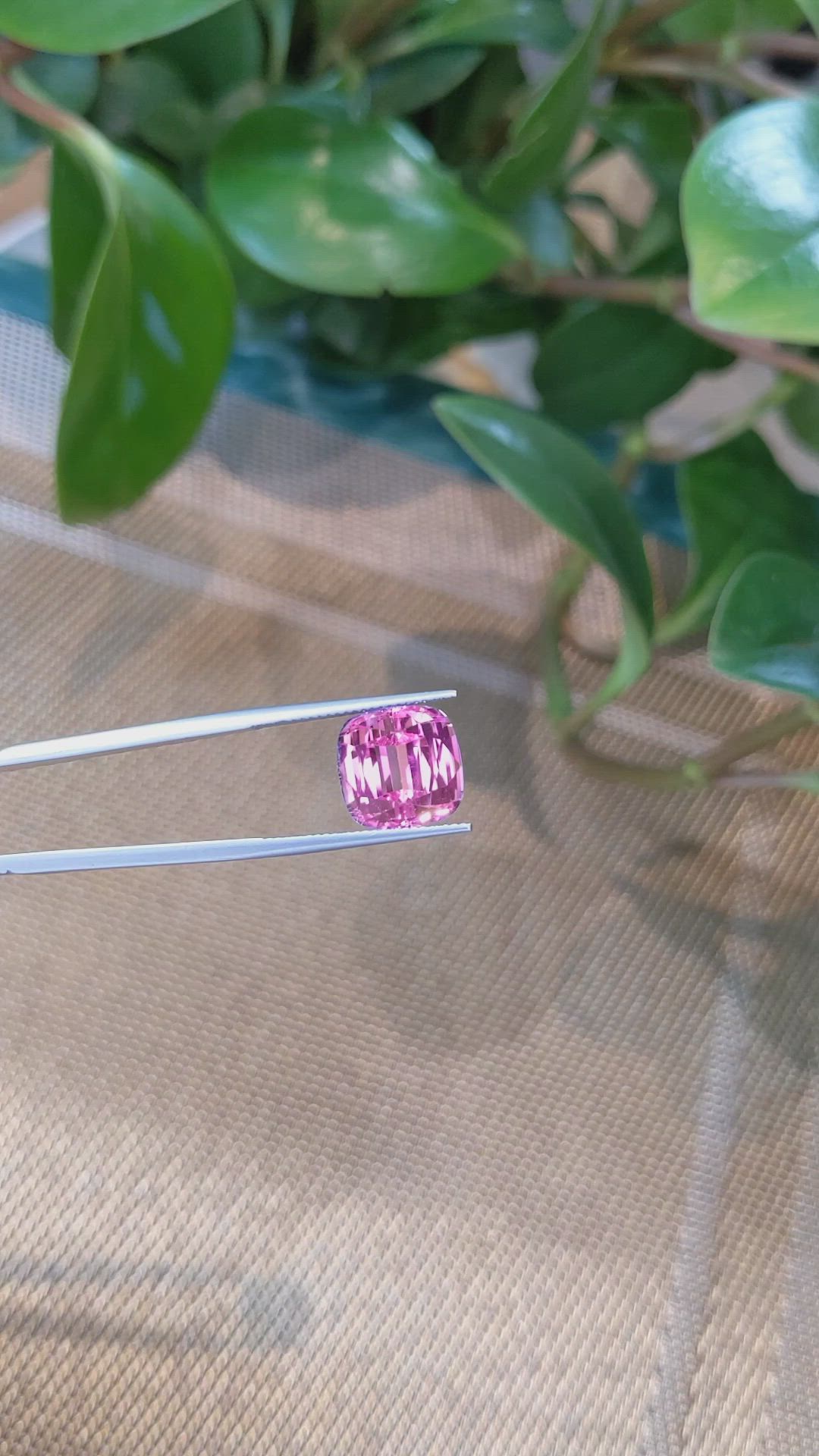 11.58 Ct. Pink Kunzite from Afghanistan Size Video