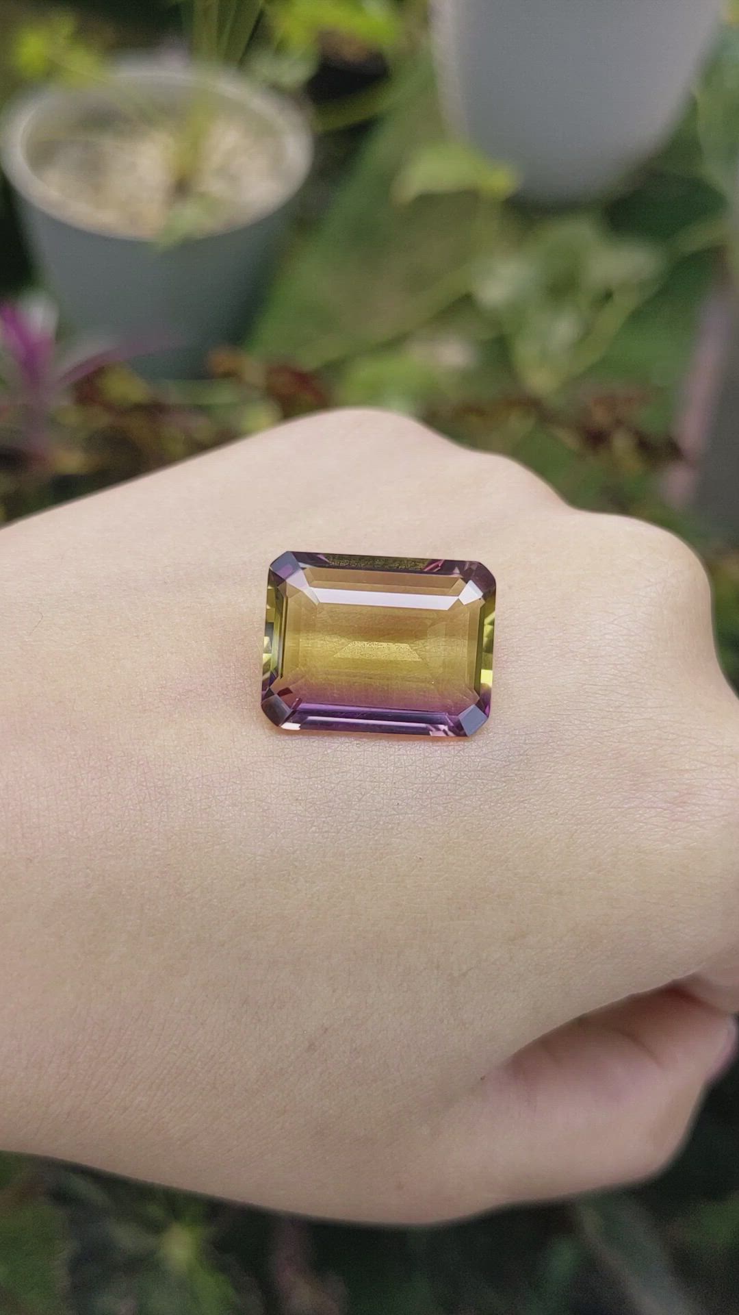 16.57 Ct. Ametrine from Ceylon (Sri Lanka) Size Video