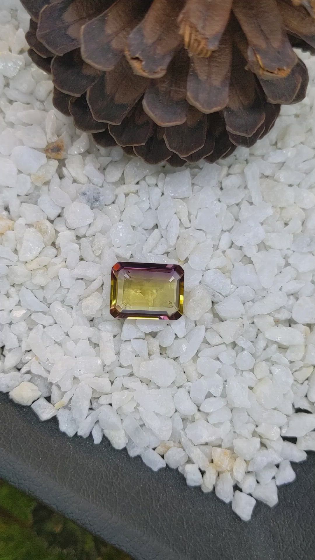 16.57 Ct. Ametrine from Ceylon (Sri Lanka) Size Video