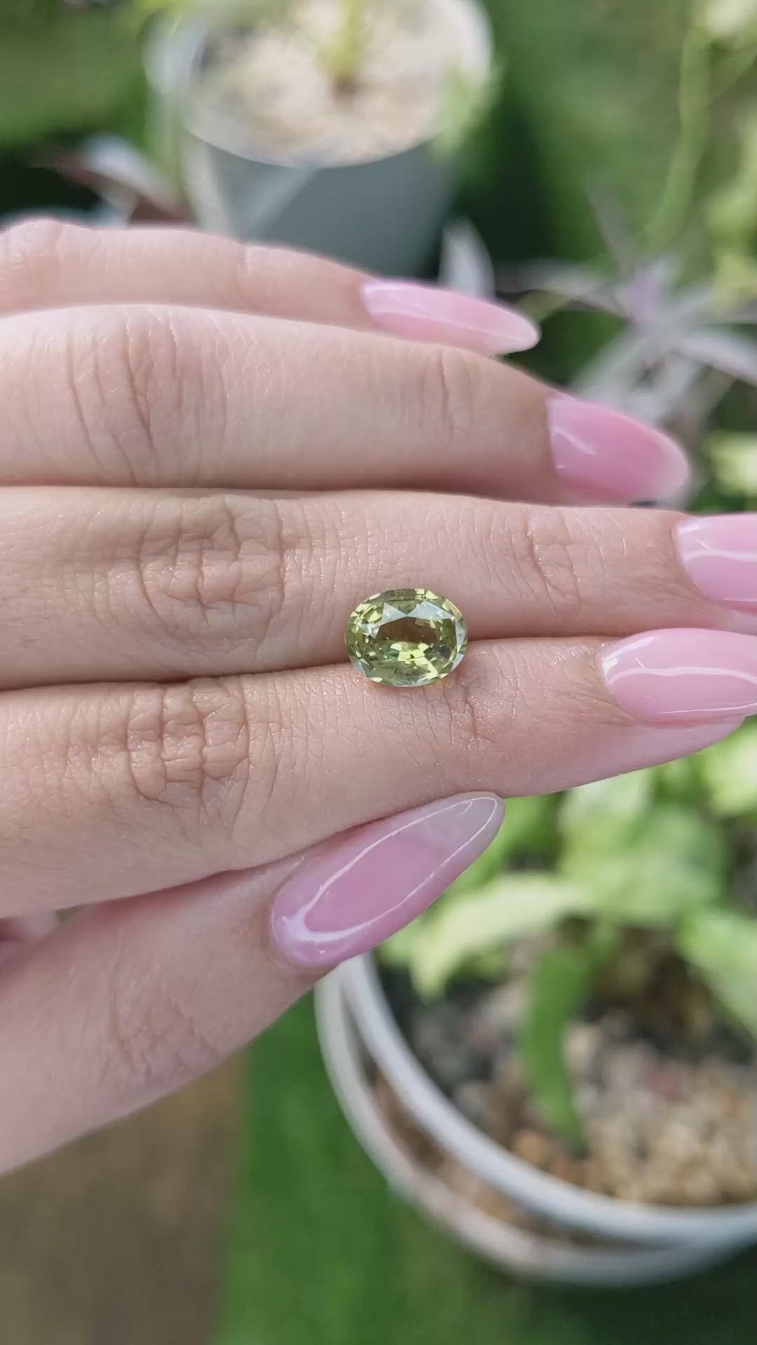 2.70 Ct. White Opal from Ceylon (Sri Lanka) Size Video