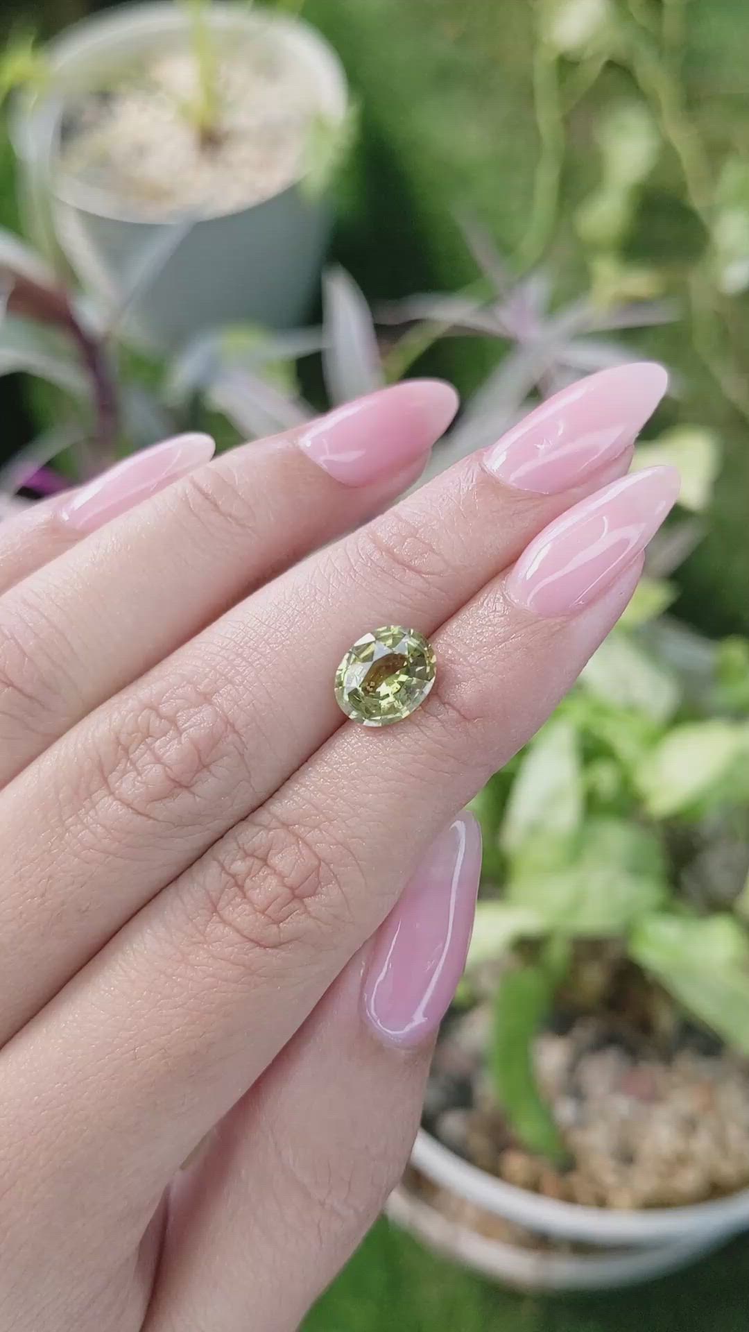 2.70 Ct. White Opal from Ceylon (Sri Lanka) Size Video