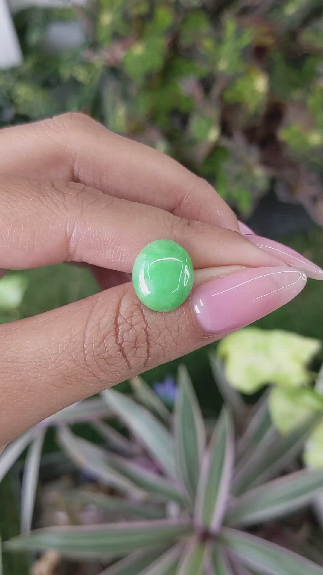 5.60 Ct. Green Cabochon Jade from Burma (Myanmar) Size Video