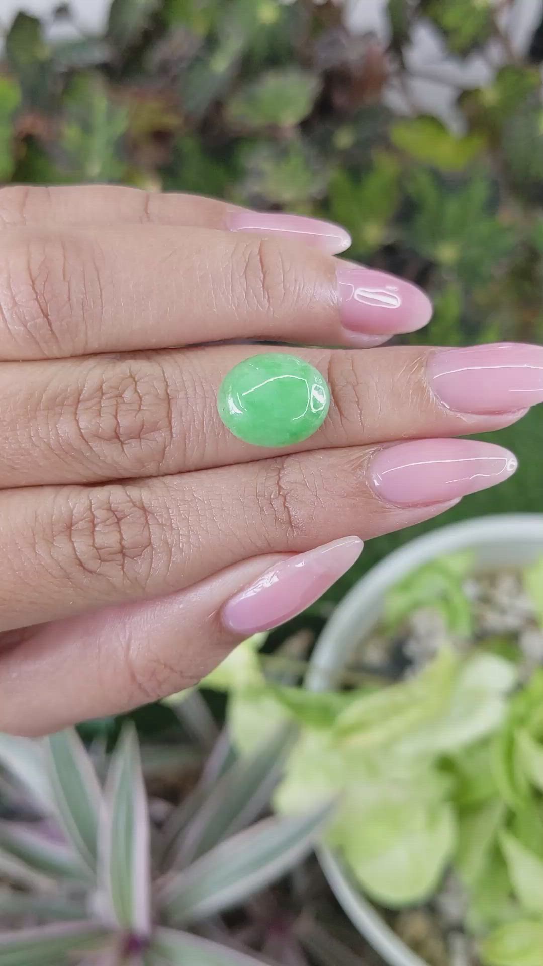 5.60 Ct. Green Cabochon Jade from Burma (Myanmar) Size Video