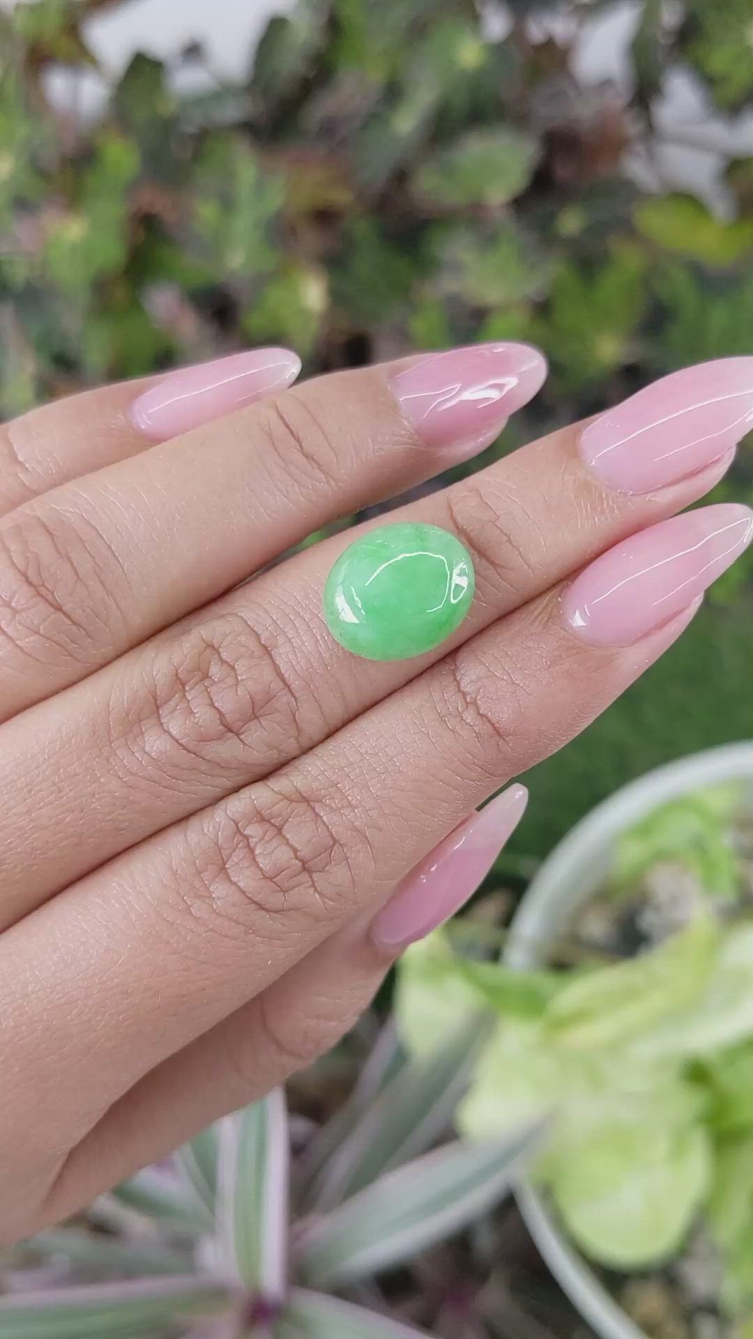 5.60 Ct. Green Cabochon Jade from Burma (Myanmar) Size Video