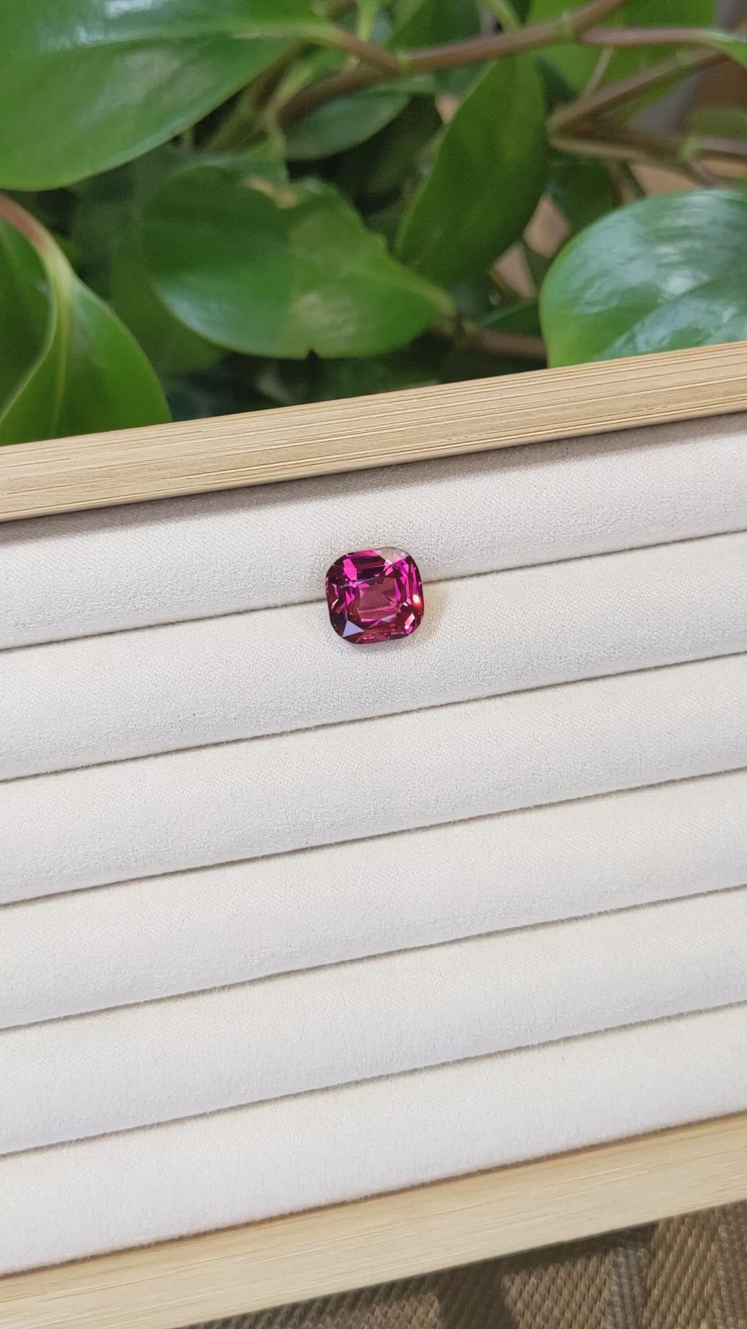 10.09 Ct. Garnet from Ceylon (Sri Lanka) Size Video