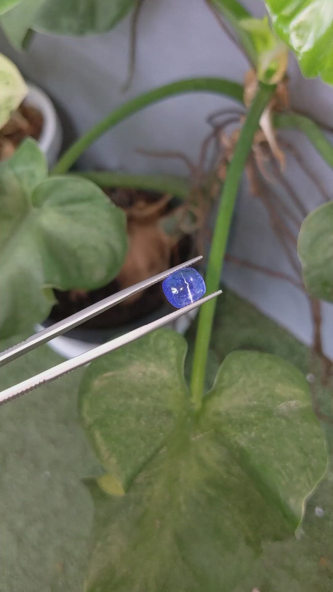 4.93 Ct. Cabochon Tanzanite from Tanzania Size Video