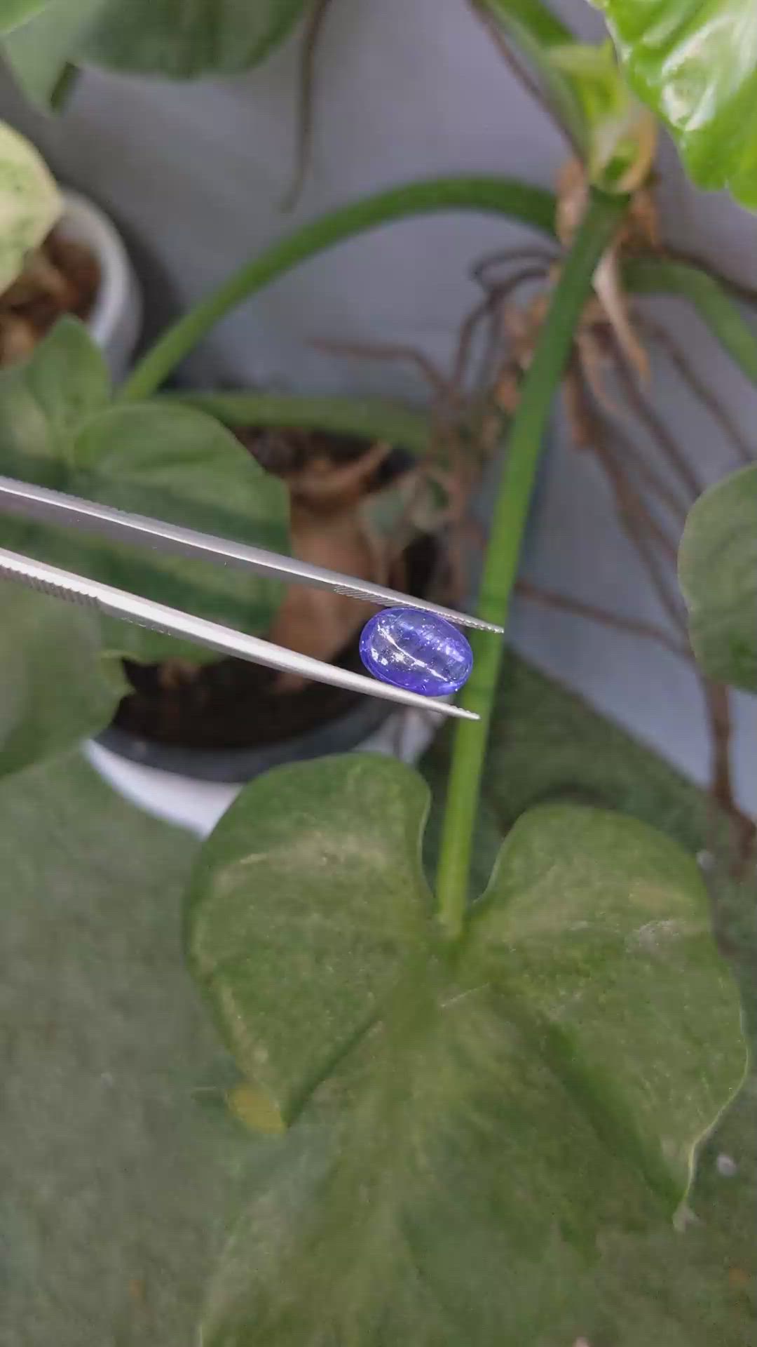 7.66 Ct. Cabochon Tanzanite from Tanzania Size Video