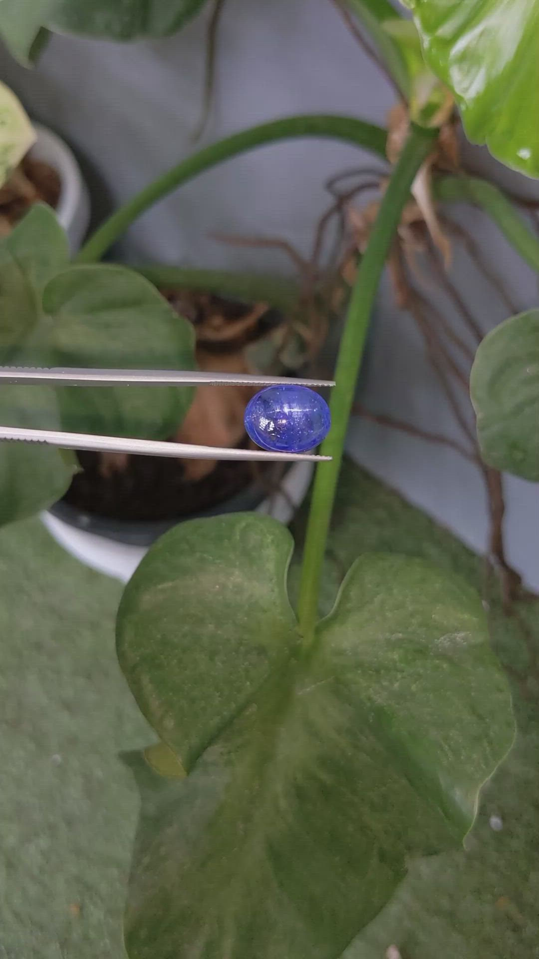 11.54 Ct. Cabochon Tanzanite from Tanzania Size Video