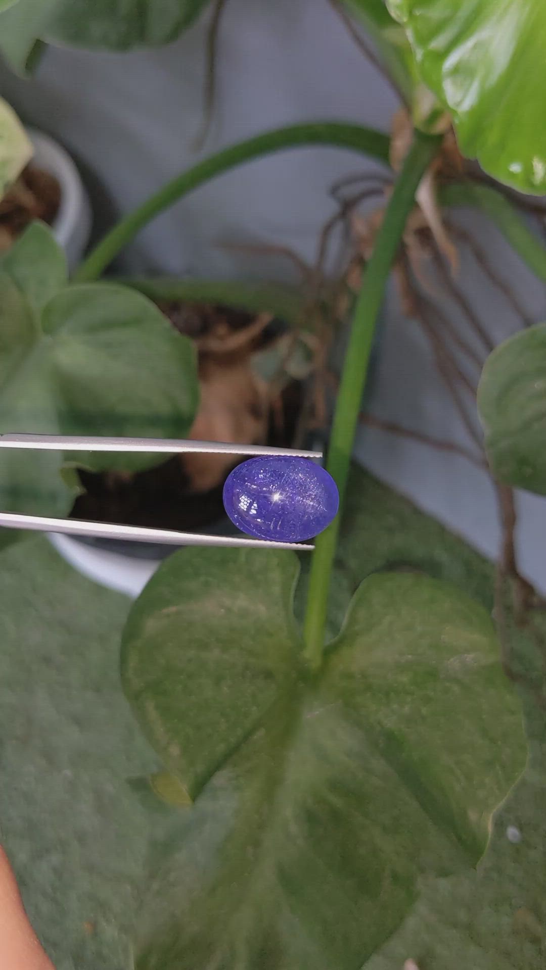16.51 Ct. Cabochon Tanzanite from Tanzania Size Video