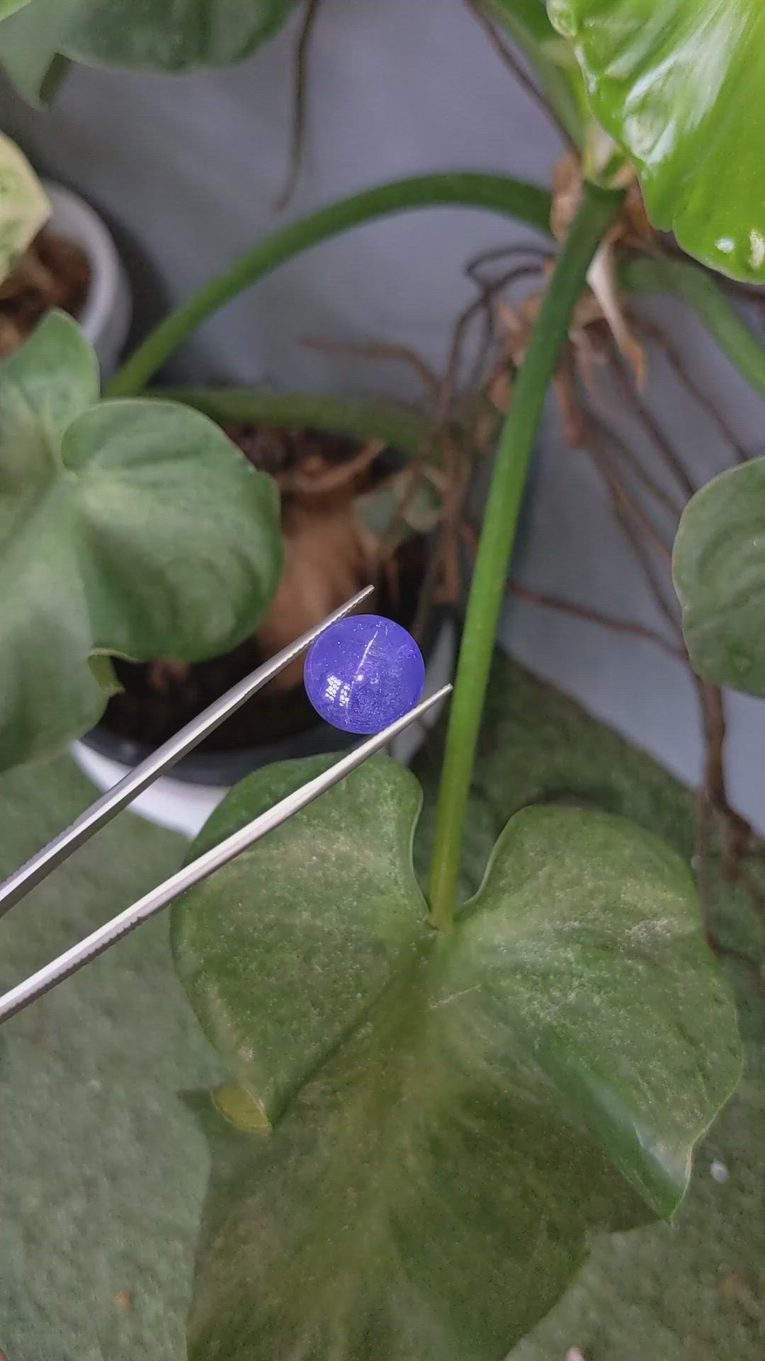 11.18 Ct. Cabochon Tanzanite from Tanzania Size Video