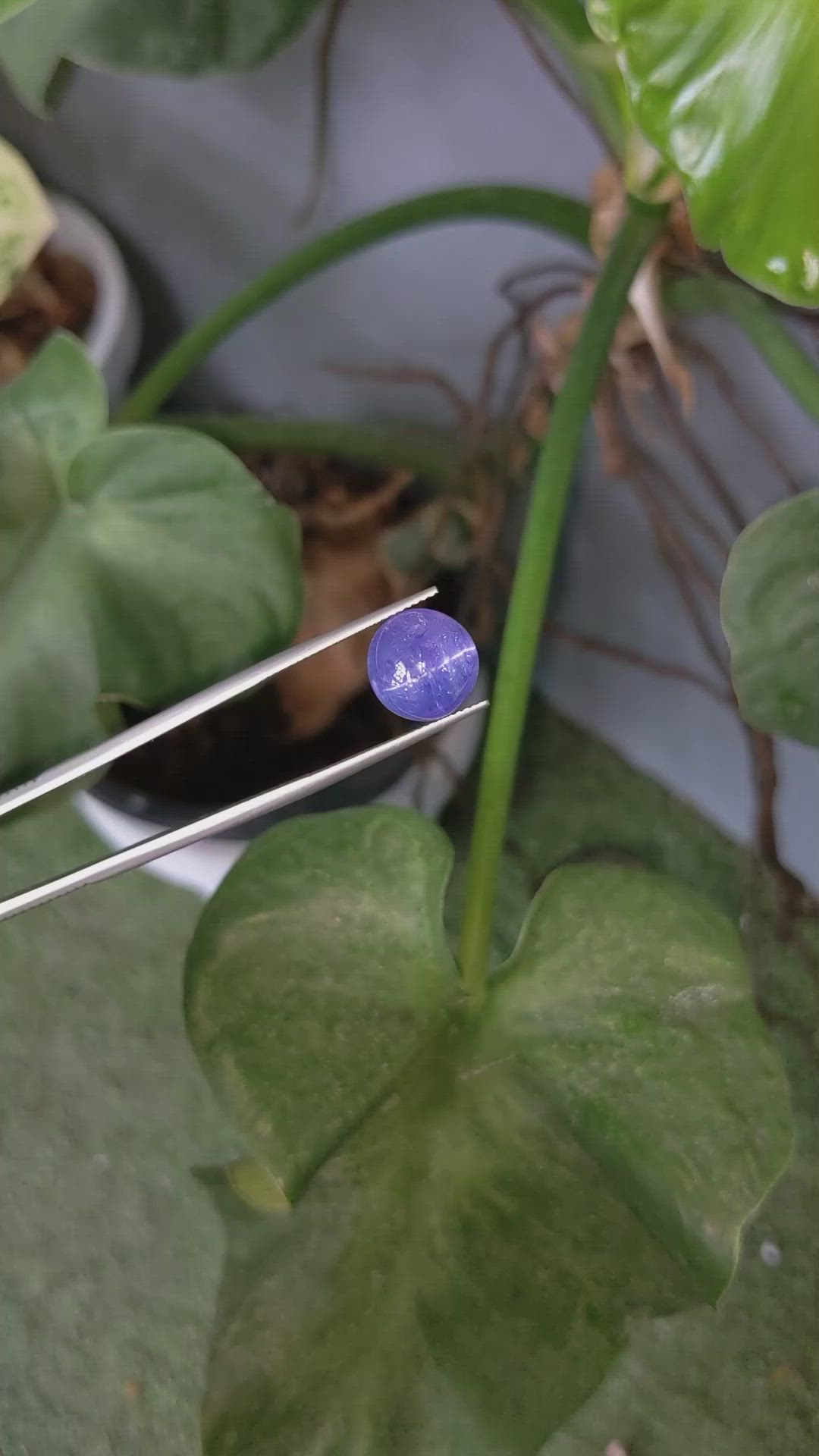 8.24 Ct. Cabochon Tanzanite from Tanzania Size Video