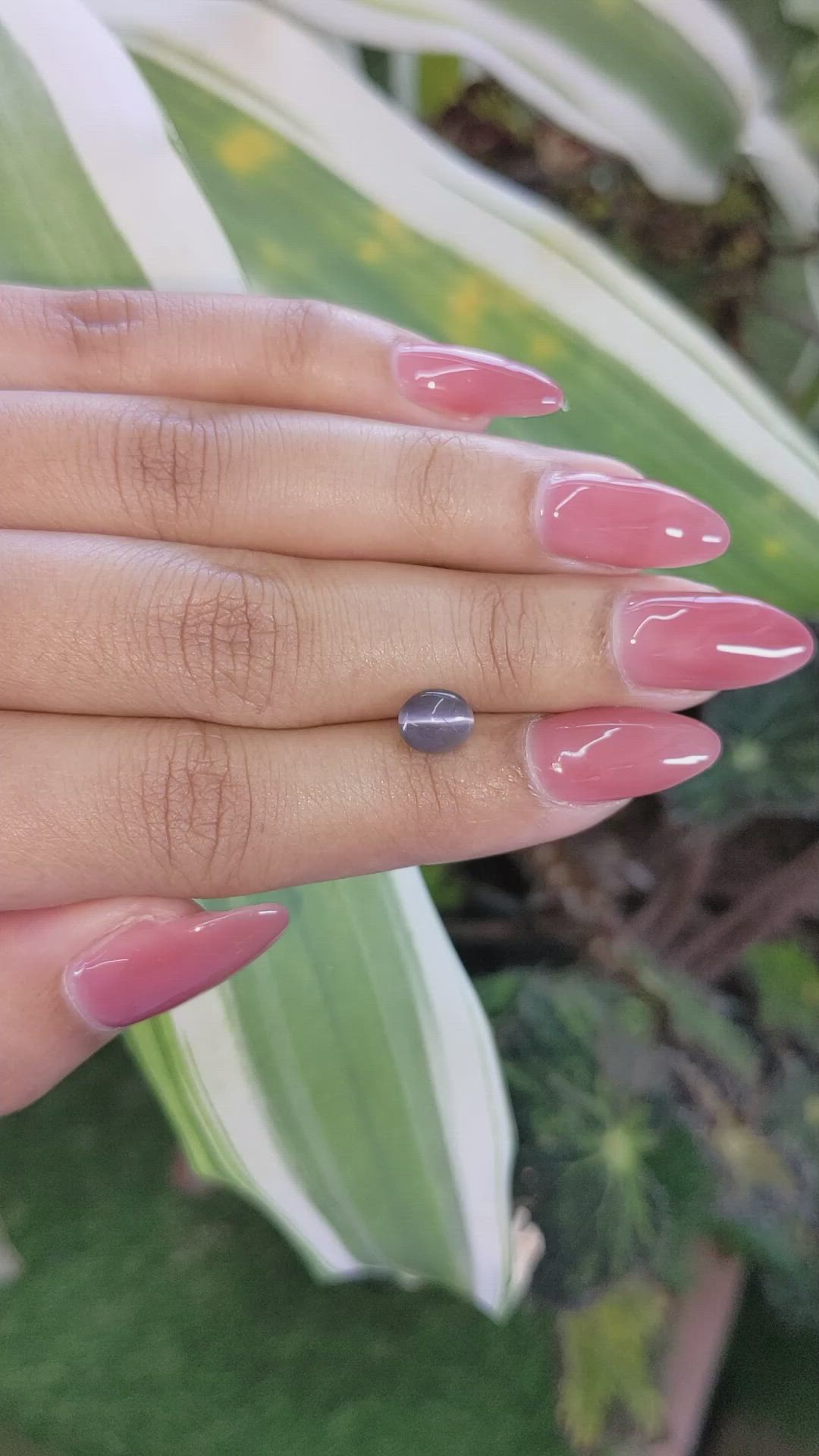 1.44 Ct. Cabochon Apatite from Ceylon (Sri Lanka) Size Video