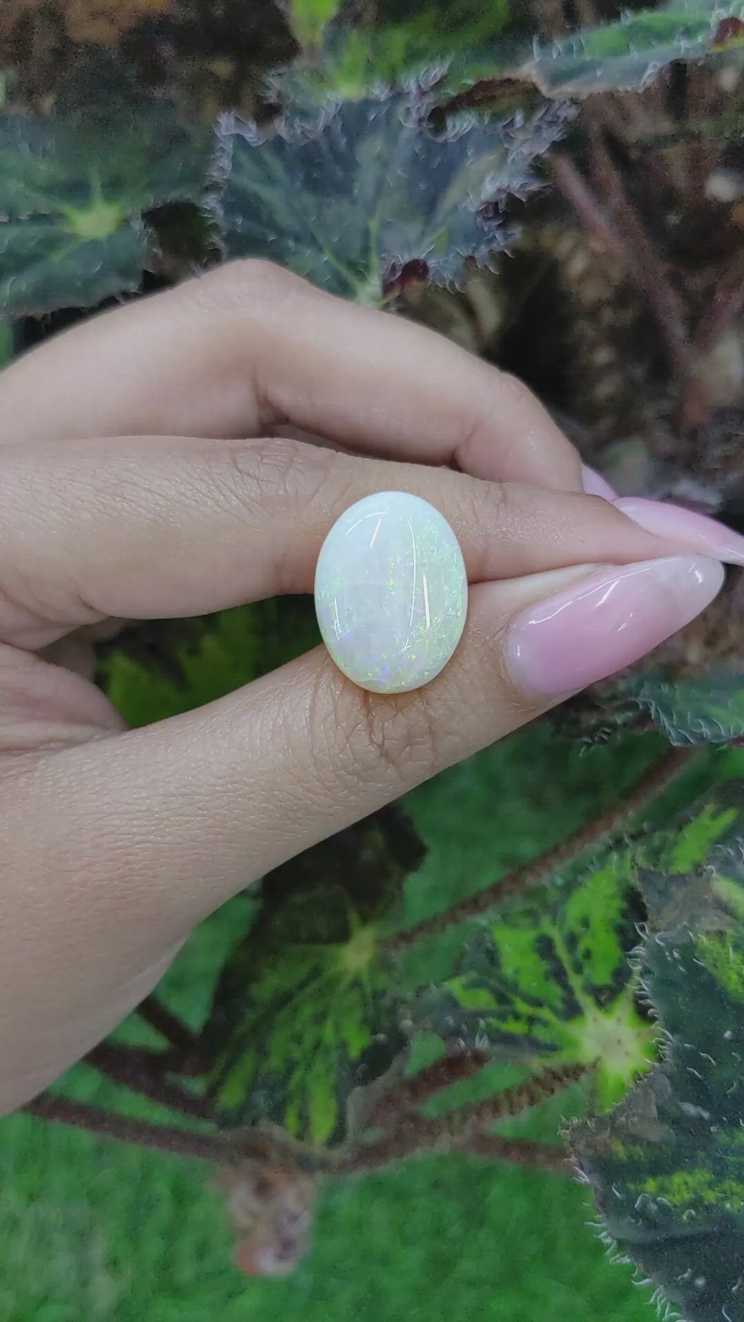 11.39 Ct. Cabochon White Opal from Australia Size Video